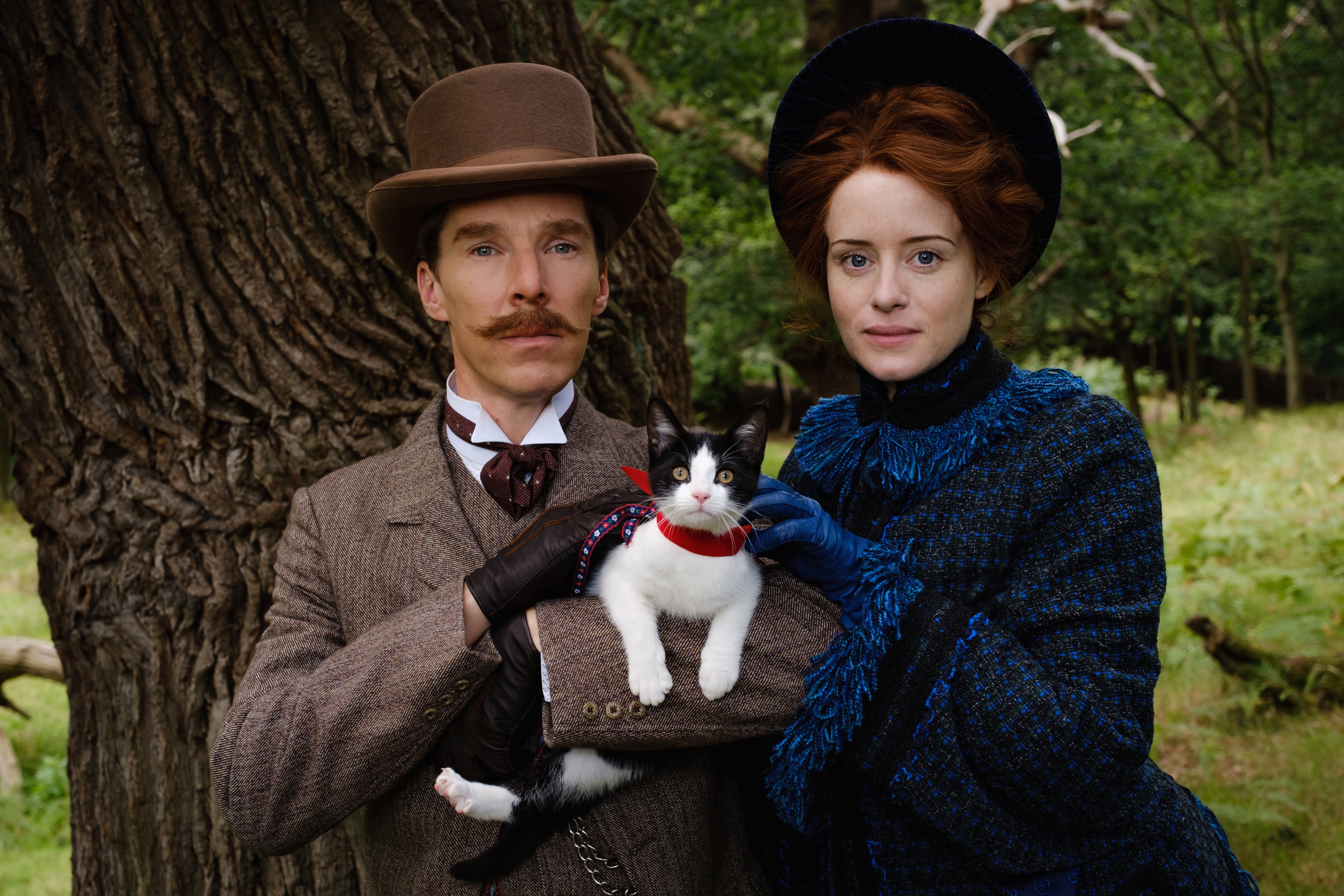 The Electrical Life Of Louis Wain 4K HD Wallpaper