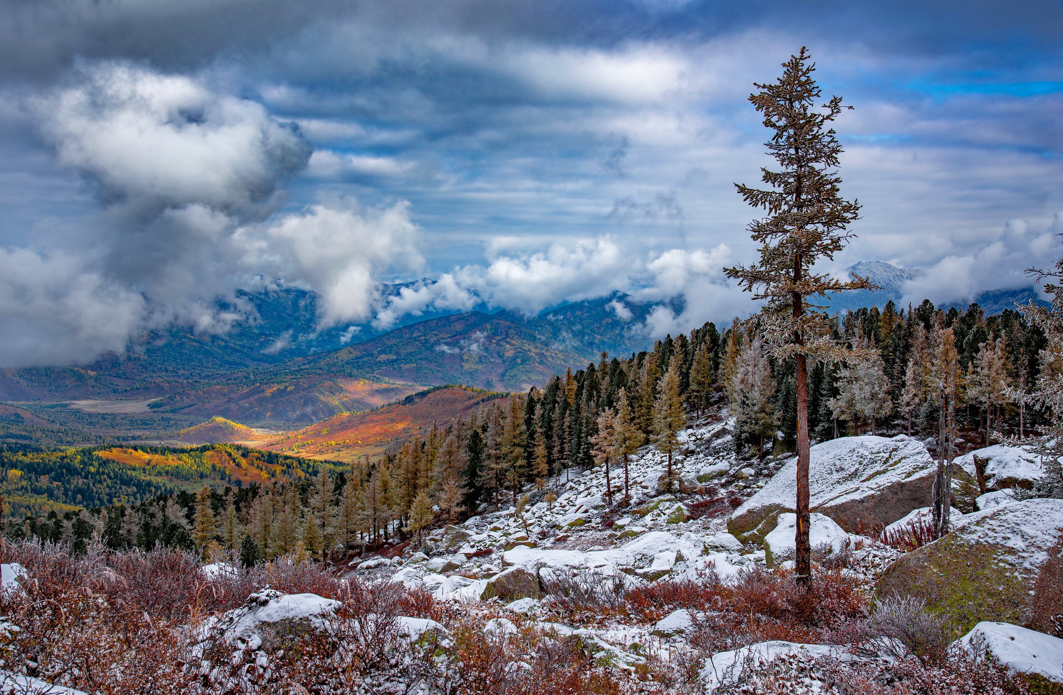 Mountain landscape with snow and autumn foliage HD Wallpaper