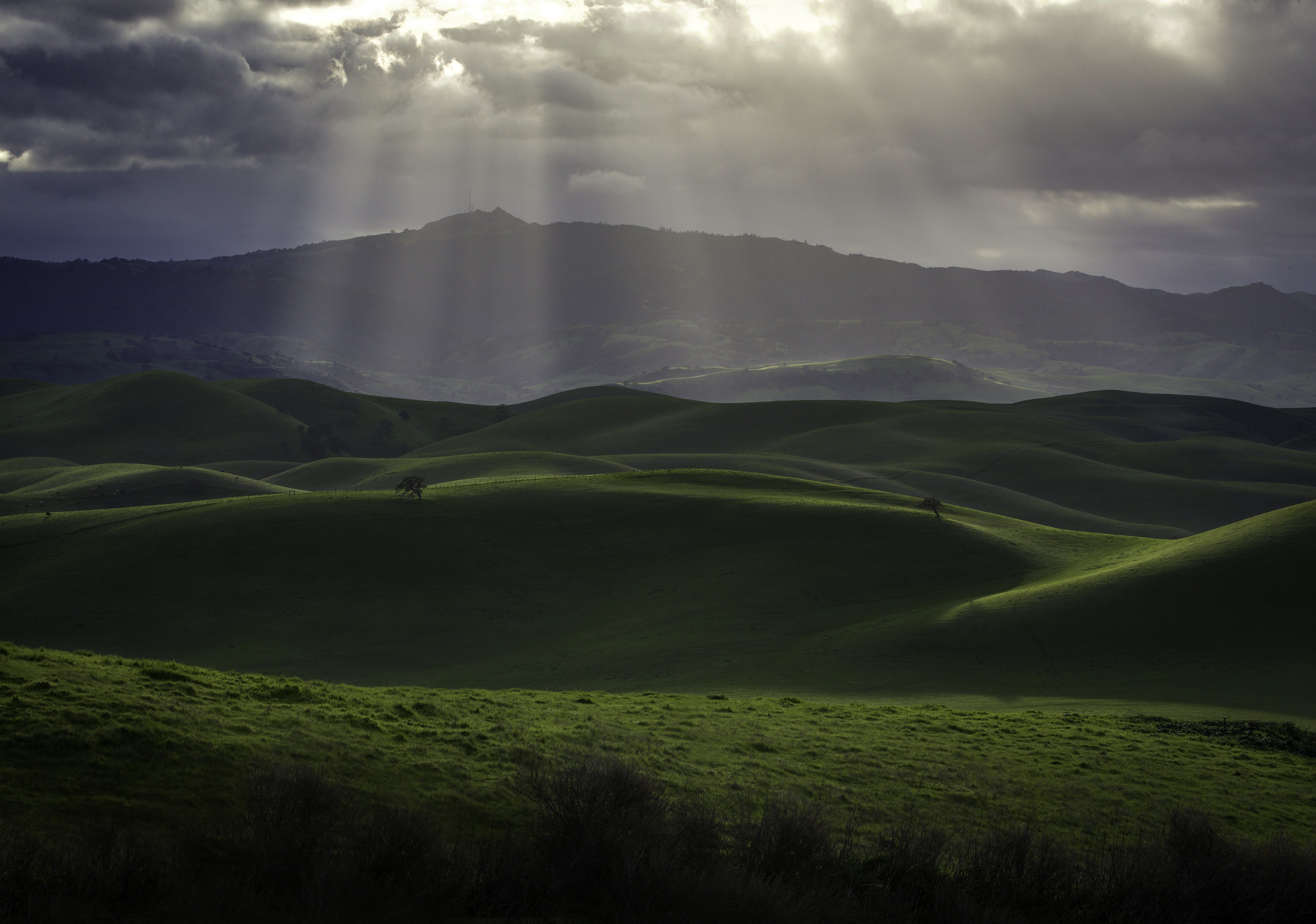 Sunbeams over rolling green hills in California HD Wallpaper