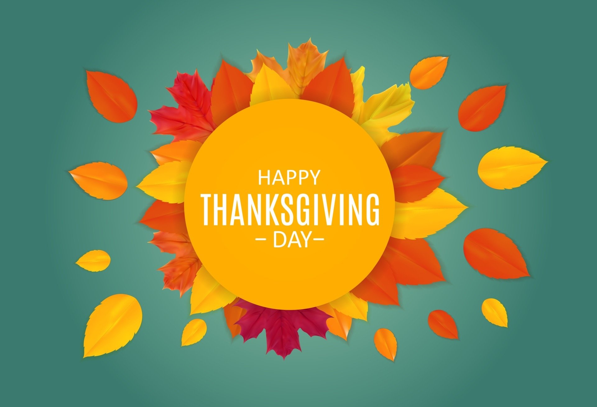 Happy Thanksgiving Day autumn leaves HD Wallpaper