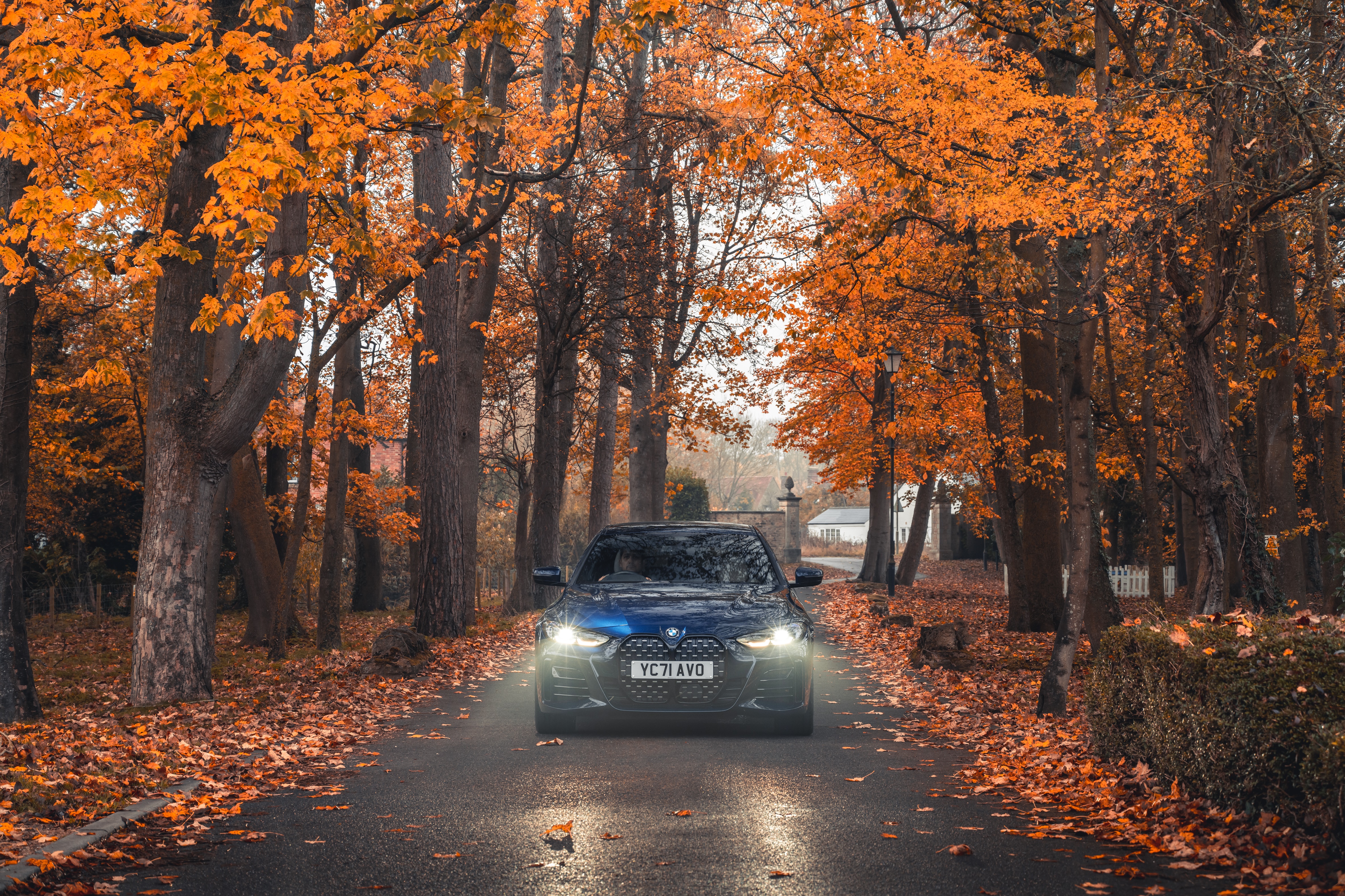 Blue BMW 4 Series 420i Gran Coupé M Sport on autumn road HD Wallpaper