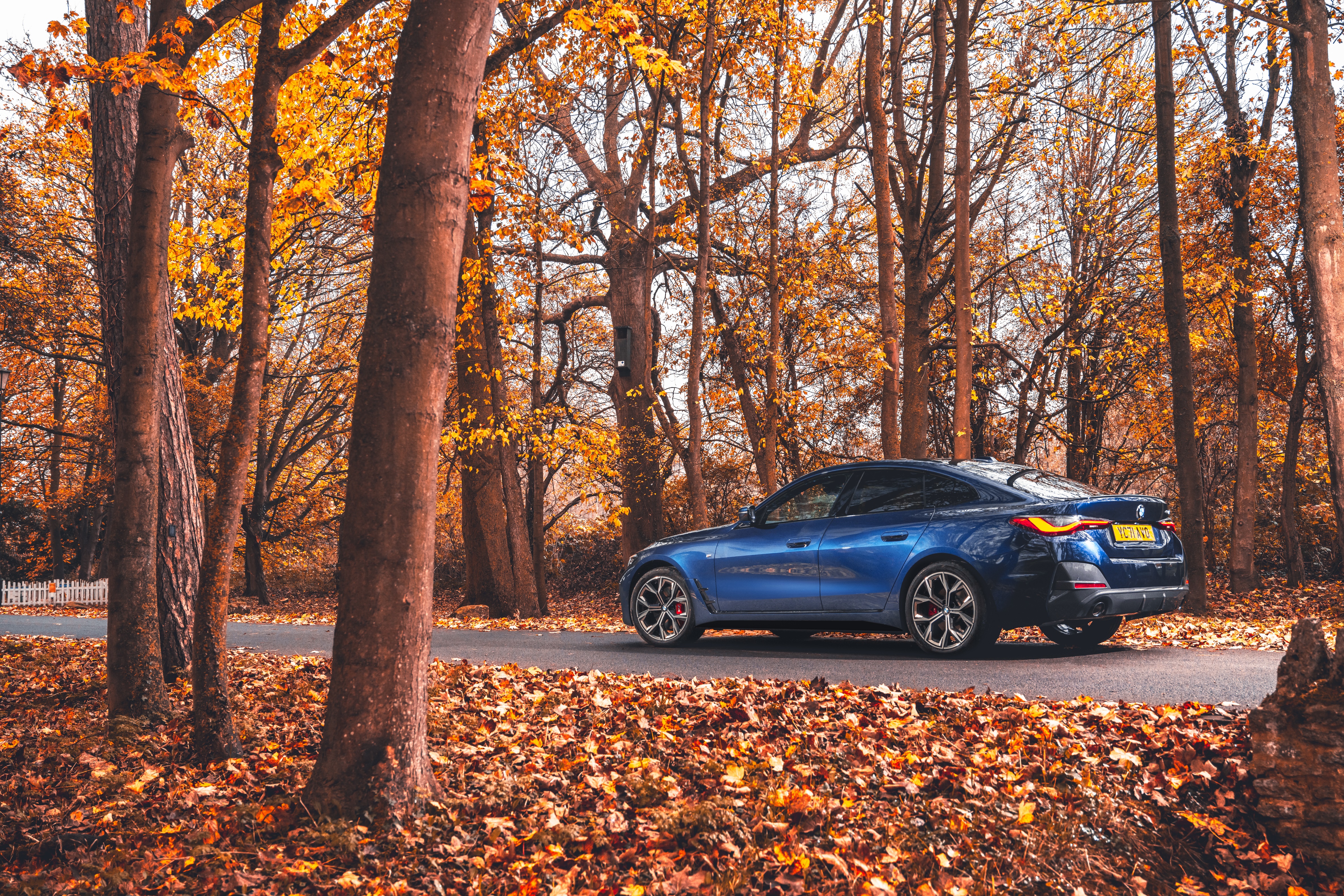 Blue BMW 4 Series 420i Gran Coupé M Sport in Autumn Forest HD Wallpaper