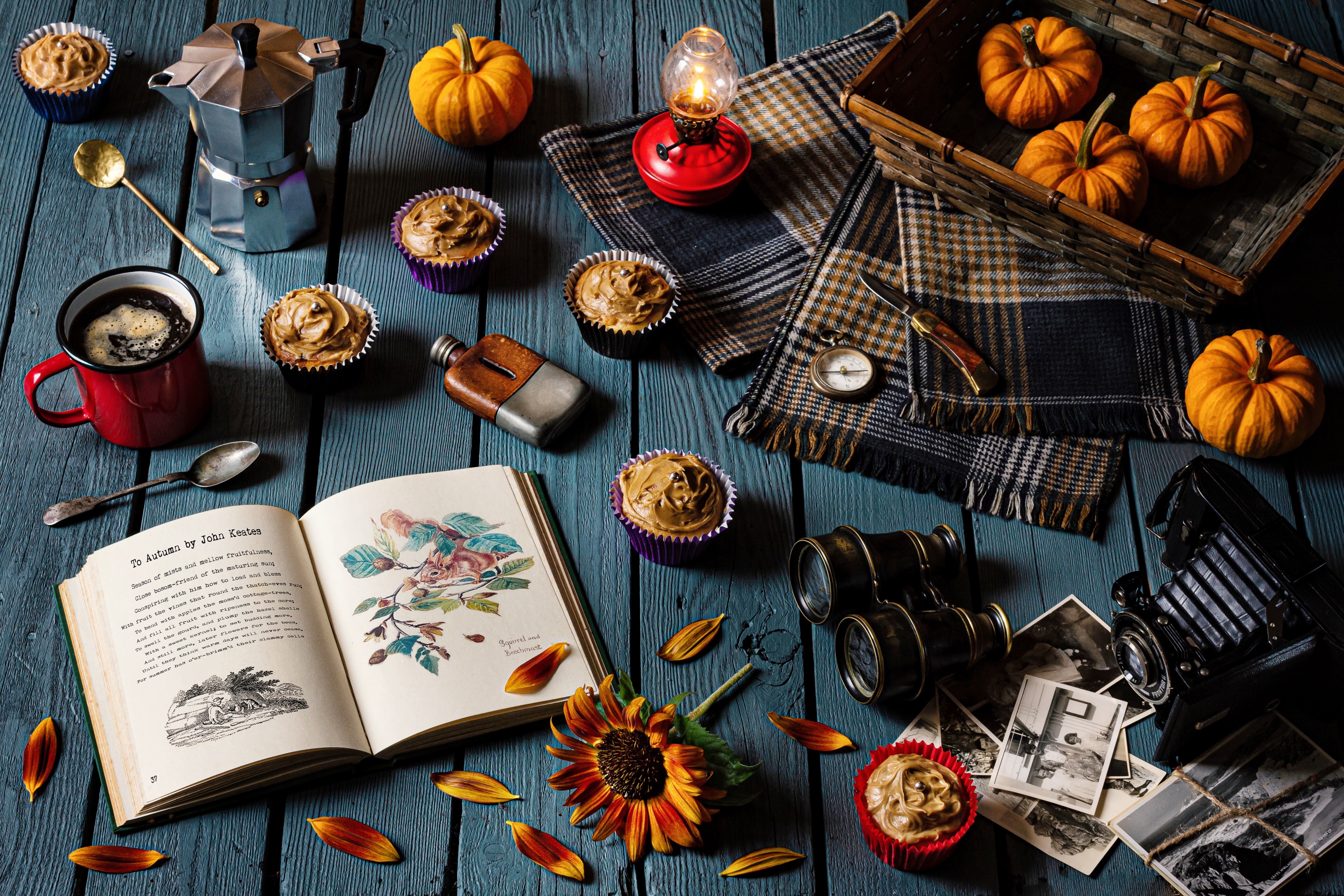 Autumn still life with pumpkins and cupcakes HD Wallpaper