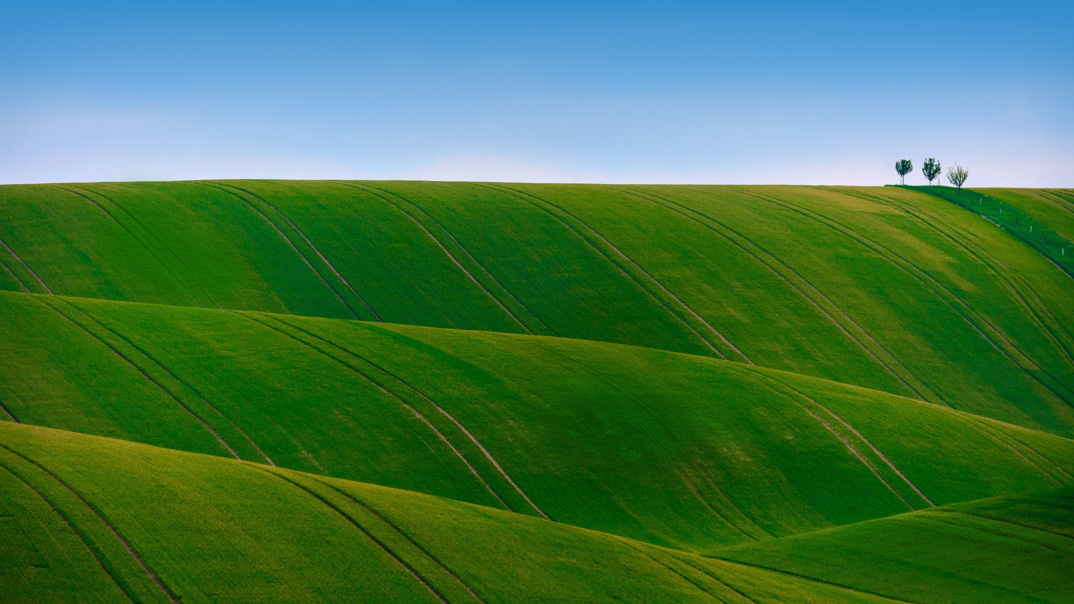Green rolling hills under a clear blue sky HD Wallpaper