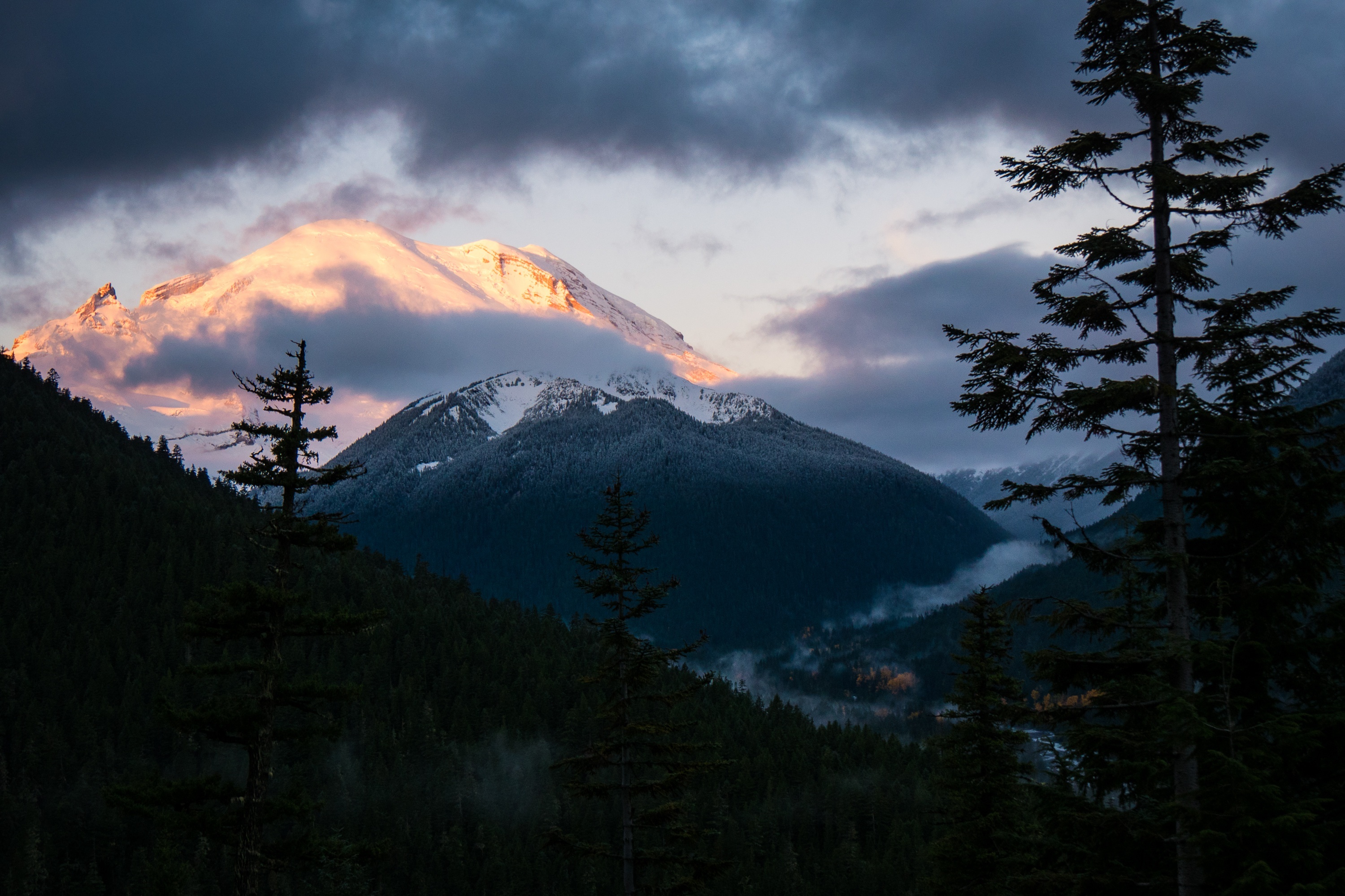 Mount Rainier with clouds and trees HD Wallpaper