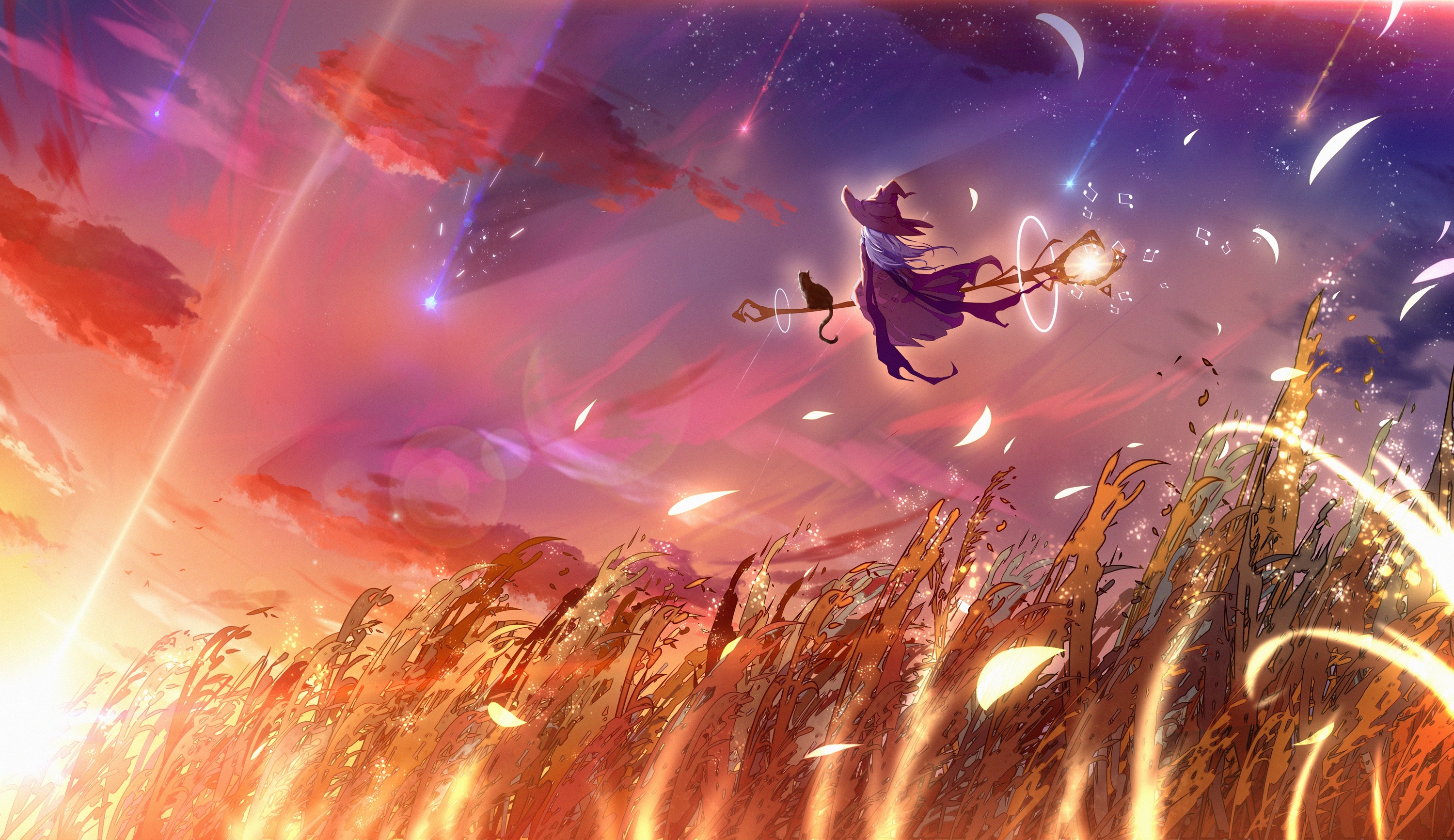Witch flying with cat on broomstick at sunset HD Wallpaper
