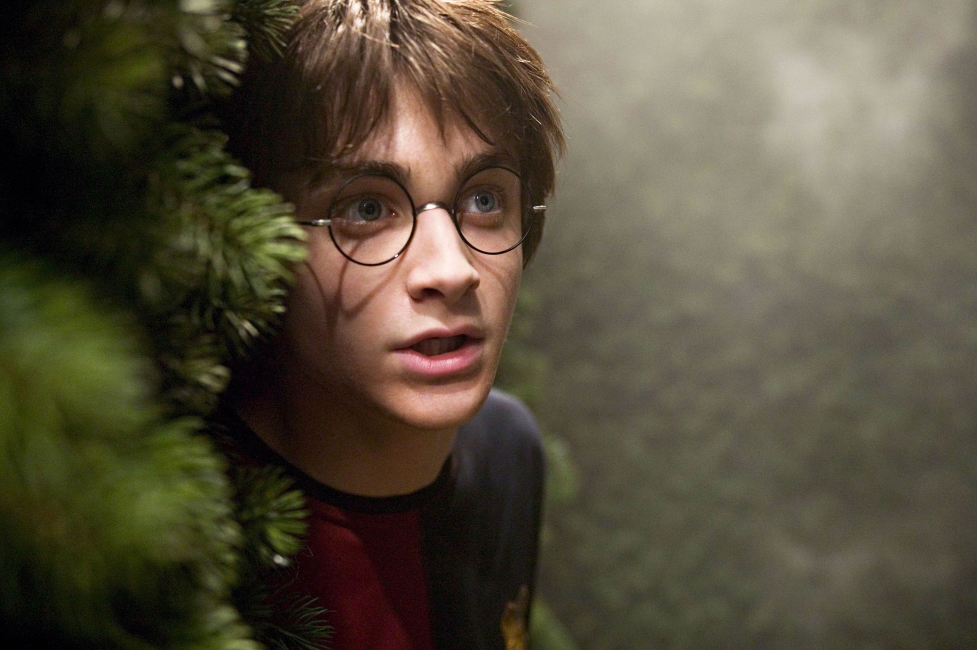 Harry Potter from Harry Potter in a forest maze HD Wallpaper
