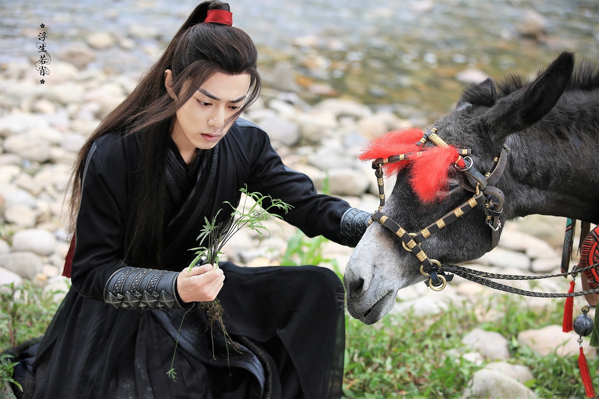 Wei Wuxian from The Untamed with a donkey HD Wallpaper