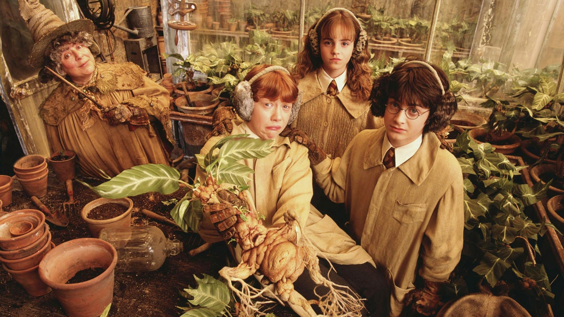 Professor Sprout with Harry, Ron, and Hermione in Herbology HD Wallpaper