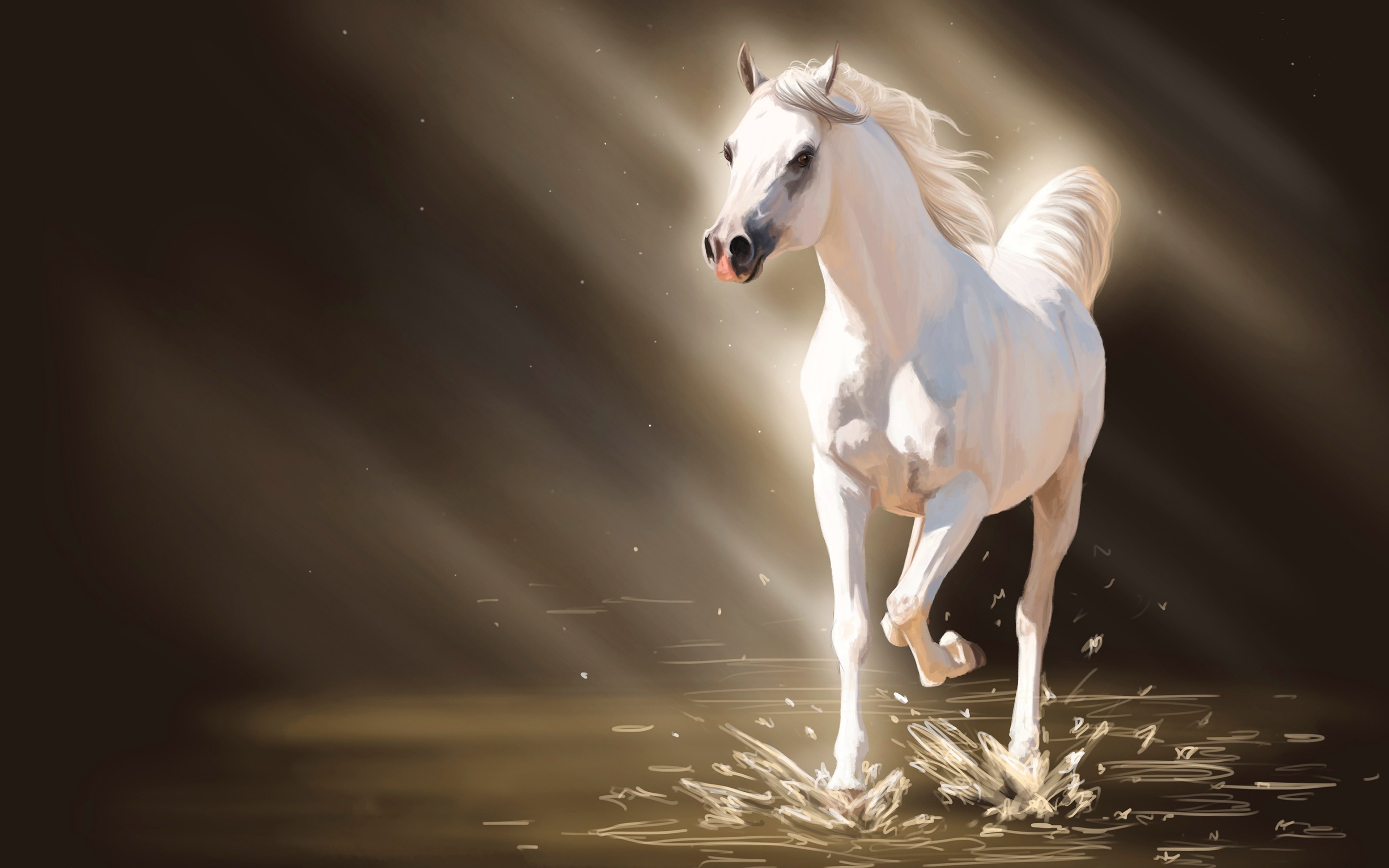 White Horse Running in Sunlight 4K HD Wallpaper