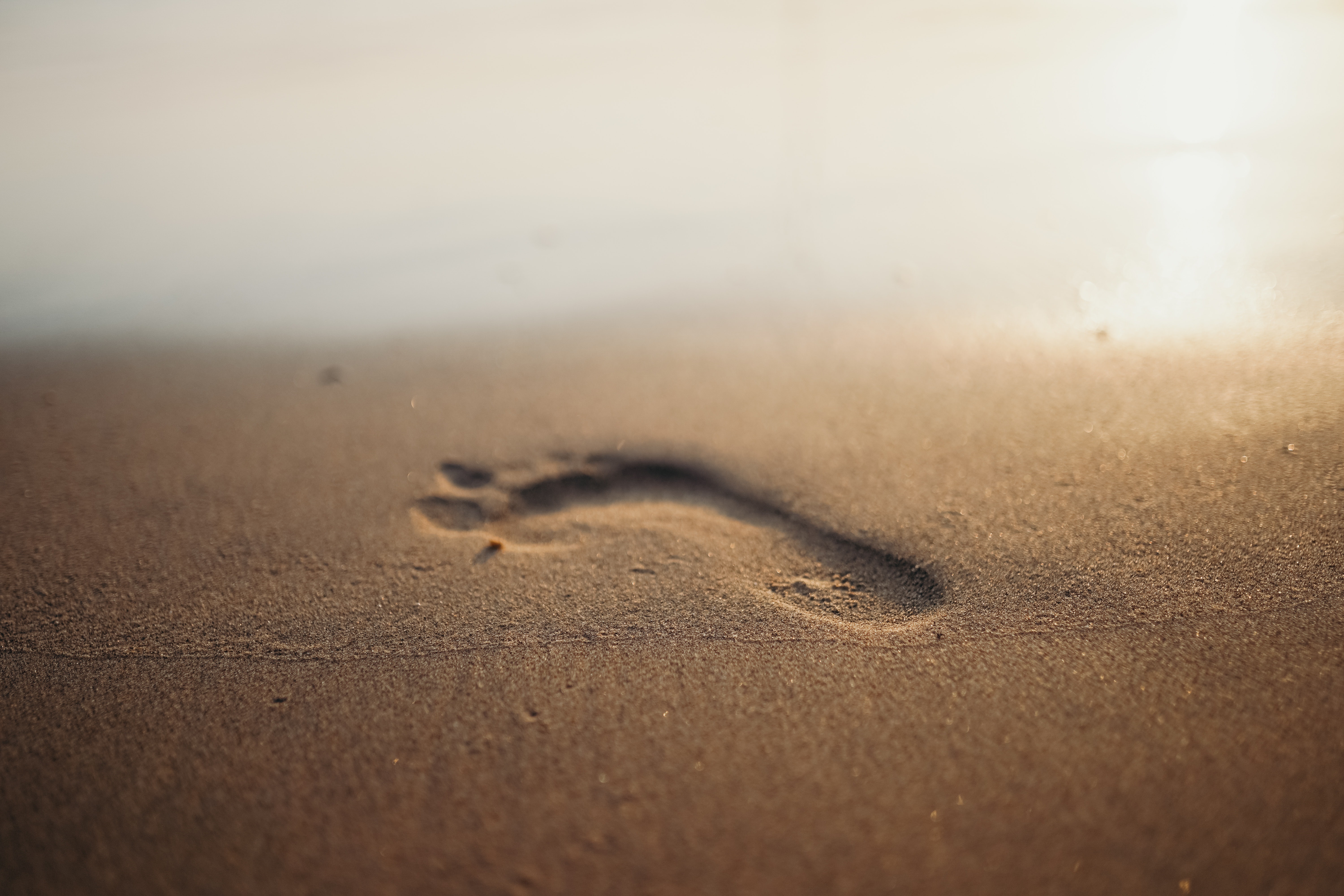 Footprint in the sand on a beach HD Wallpaper
