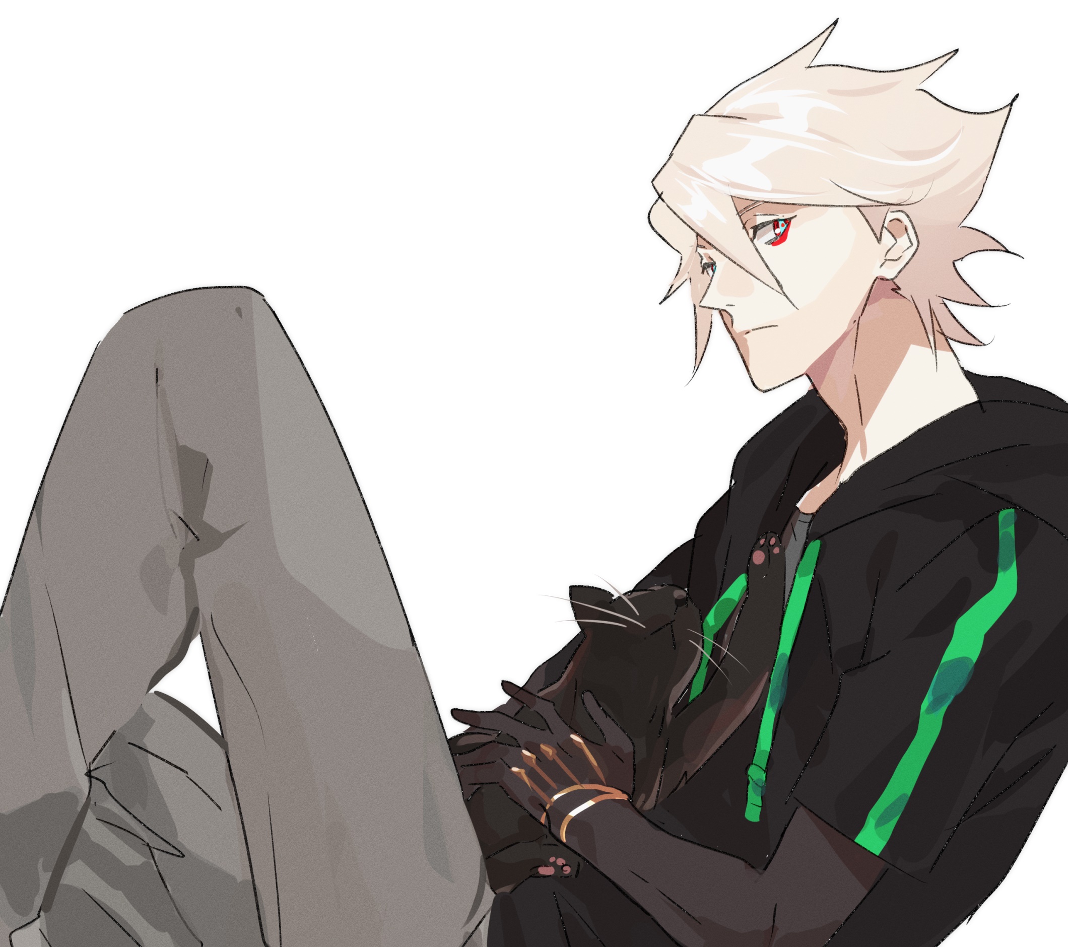 Karna from Fate/Grand Order with a black cat HD Wallpaper