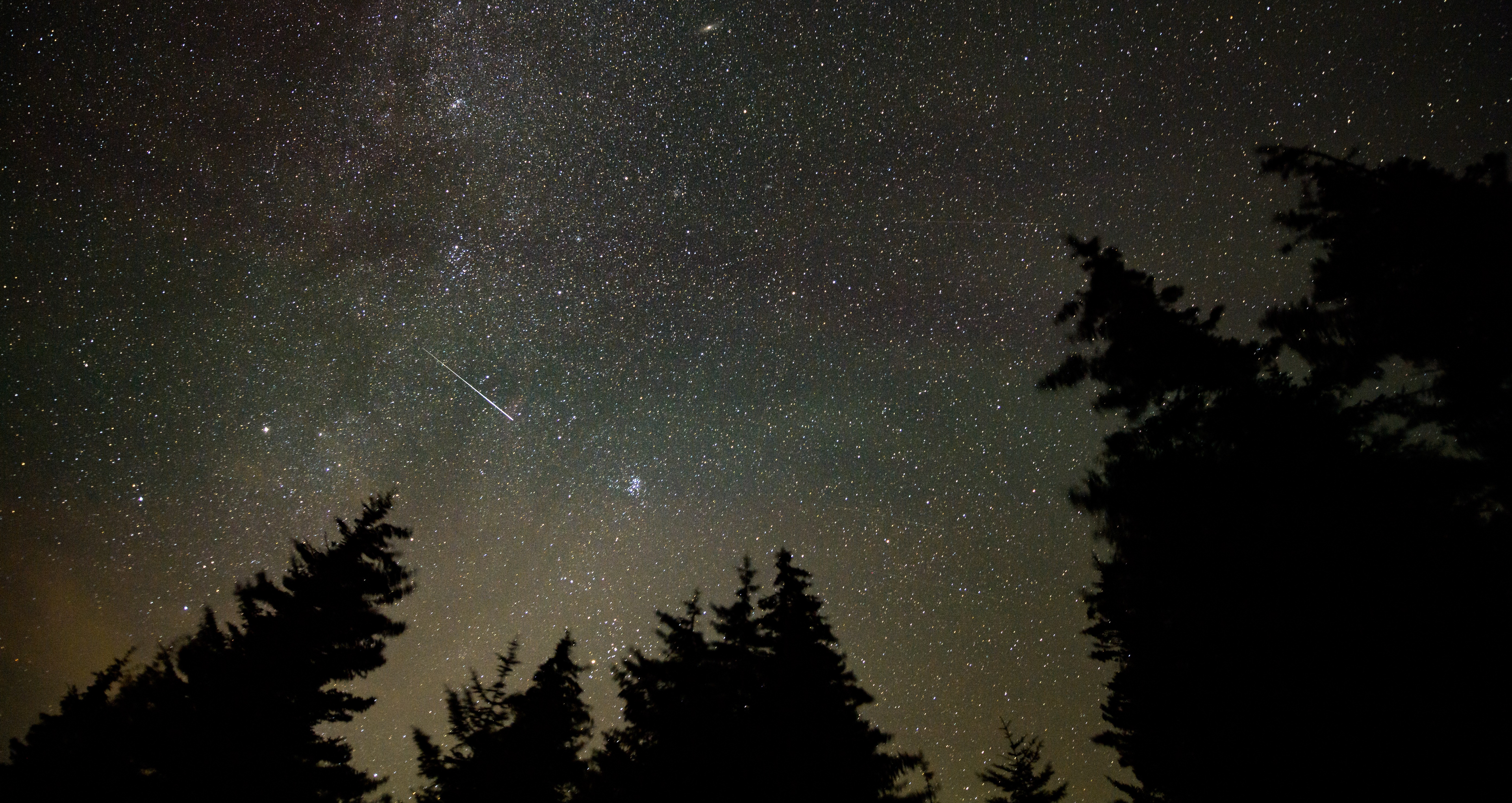 Meteor streaks across starry night sky over trees HD Wallpaper