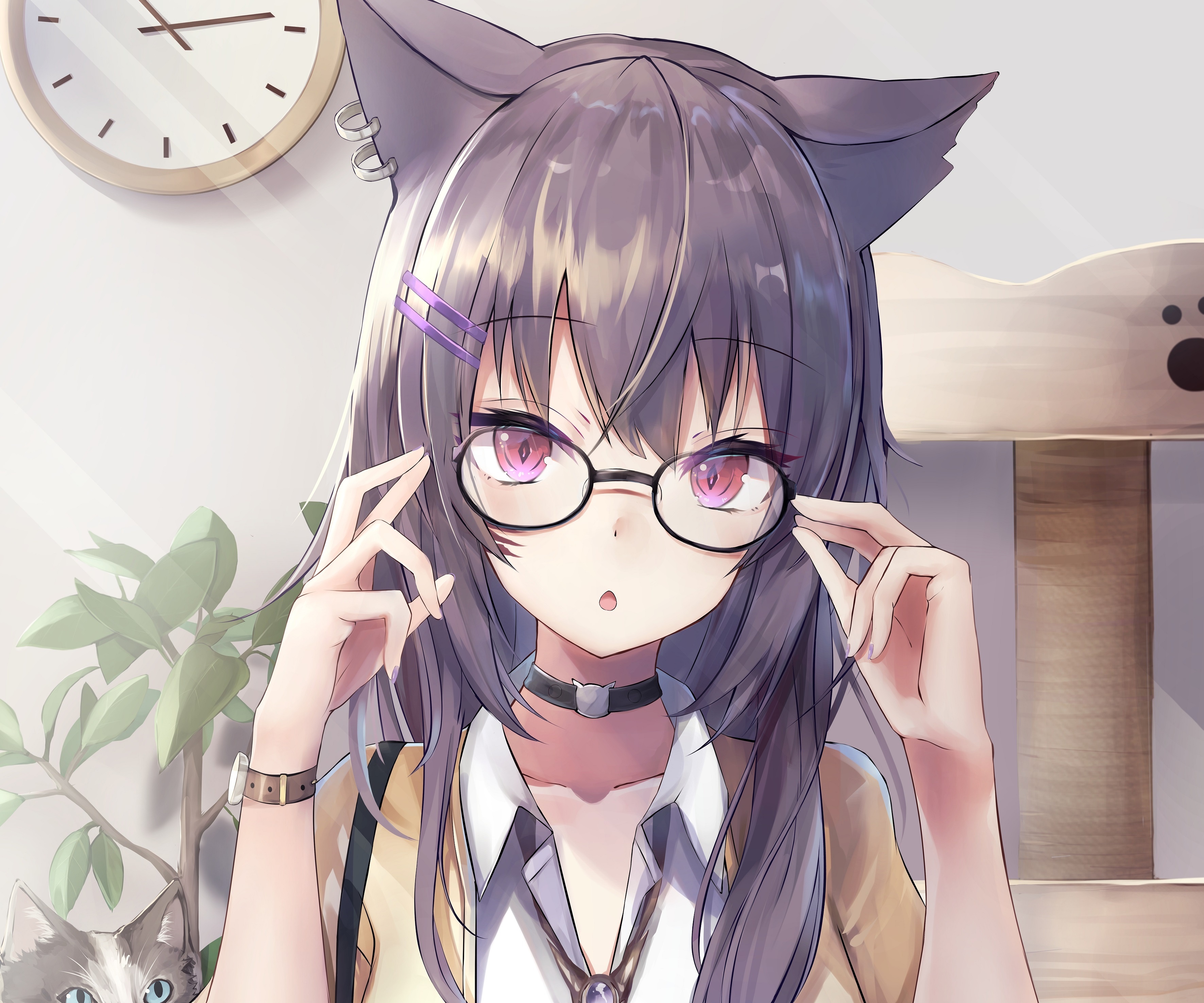 Anime girl with cat ears and glasses HD Wallpaper