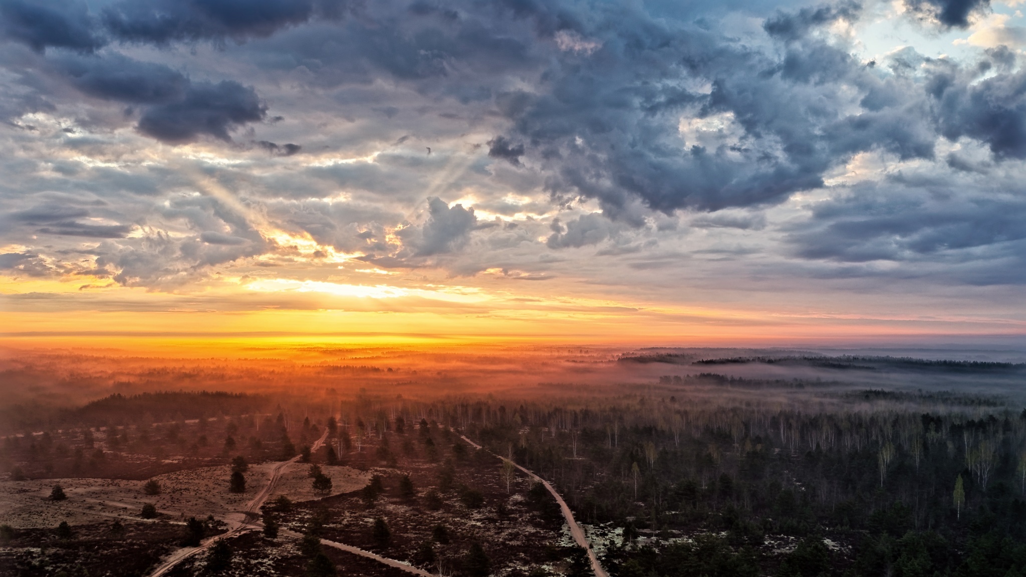 Sunset over a misty forest landscape in Lithuania HD Wallpaper