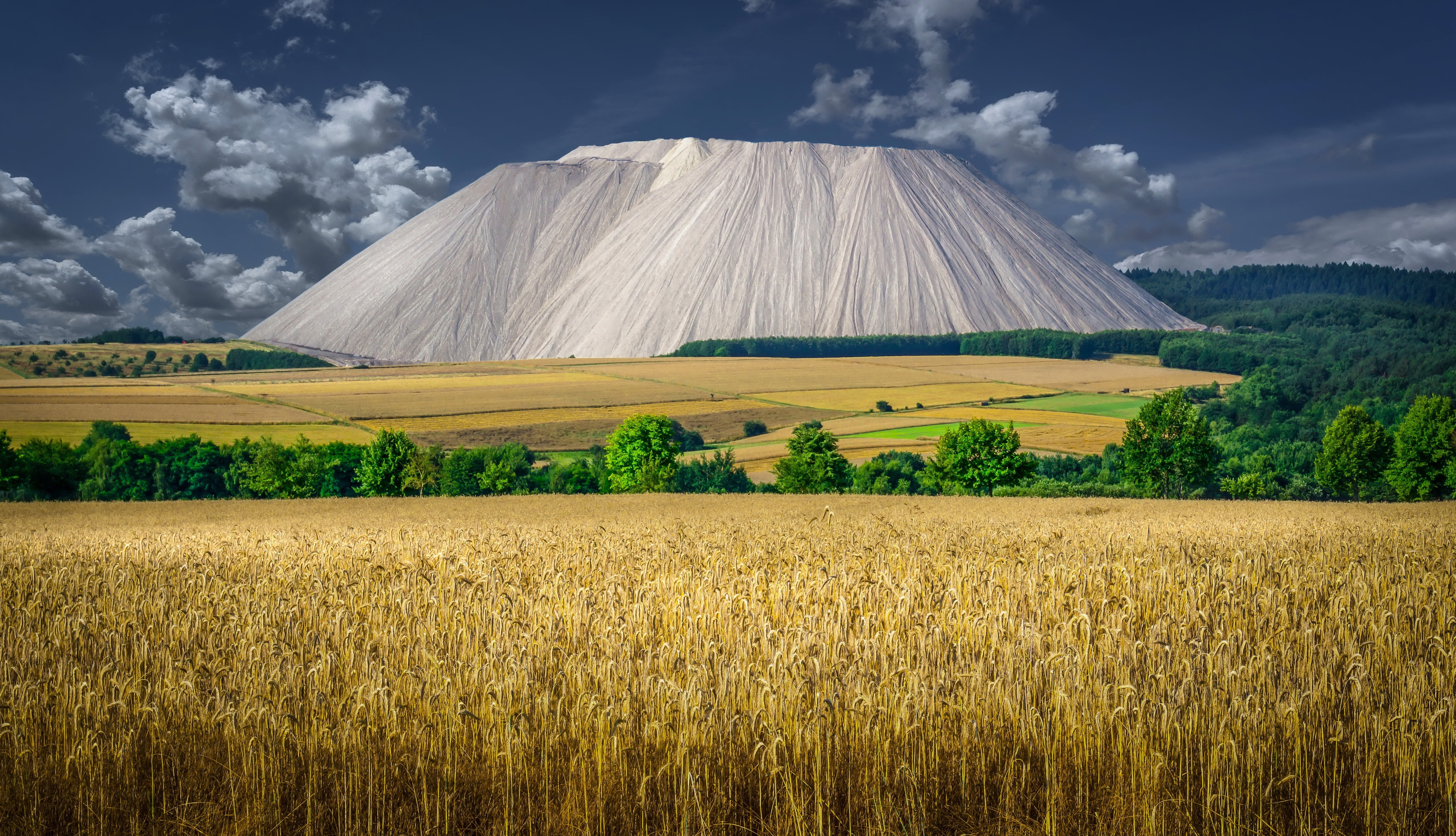 Wheat field in front of a large salt mountain in Germany 4K HD Wallpaper
