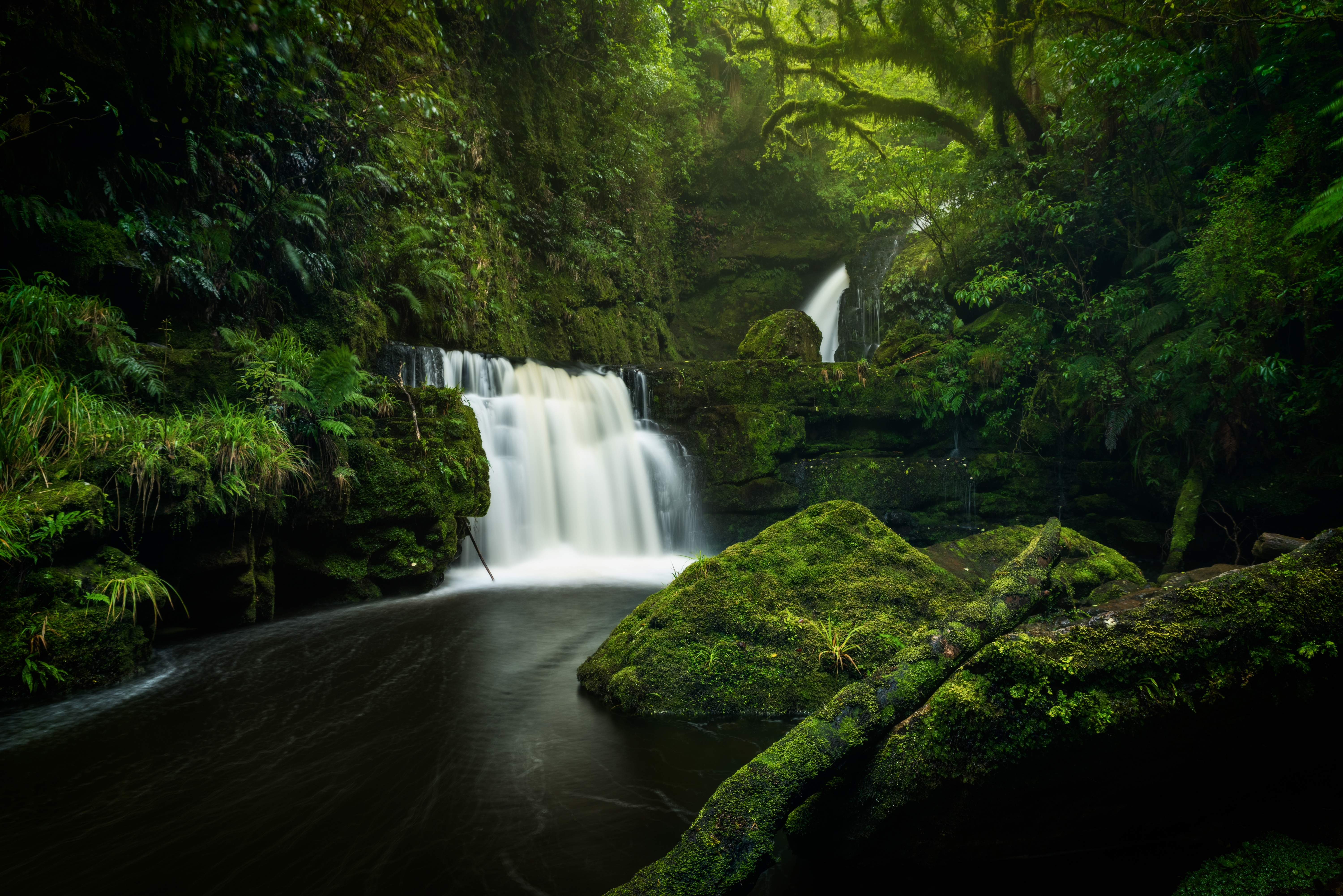 Waterfall in lush green forest, New Zealand 4K HD Wallpaper