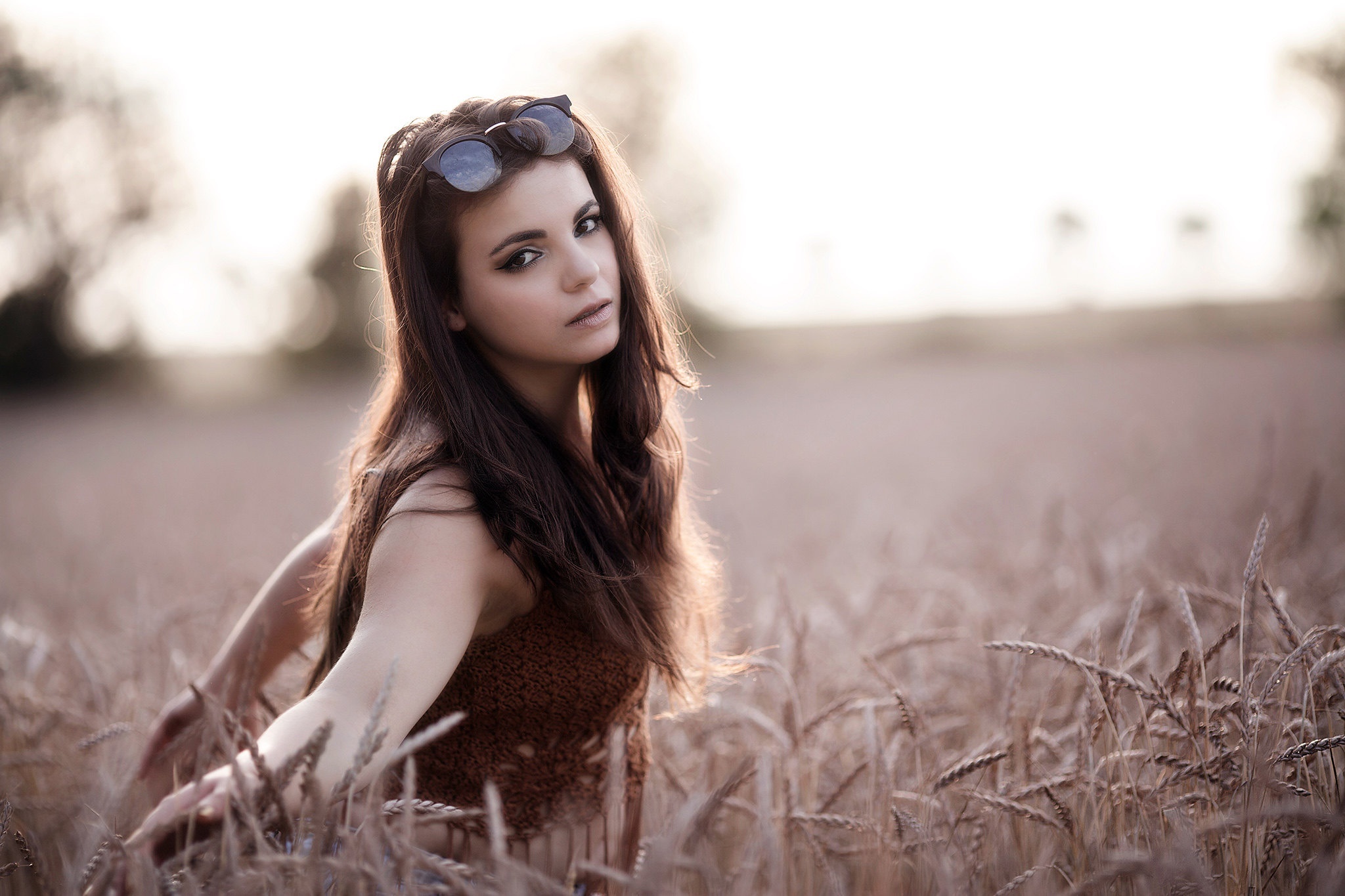 Brunette woman with sunglasses in a wheat field HD Wallpaper