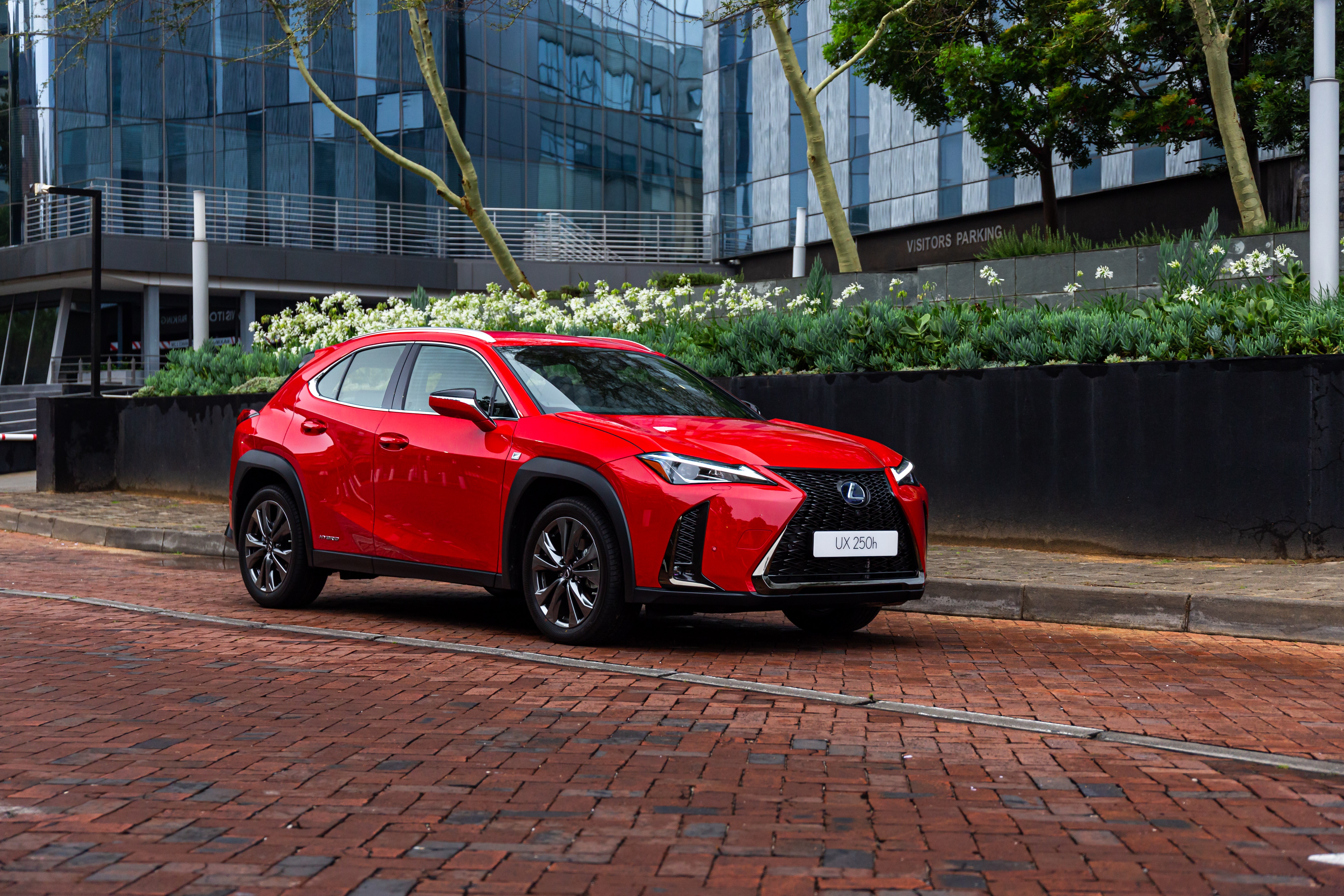 Red Lexus UX 250h F SPORT parked on brick road HD Wallpaper