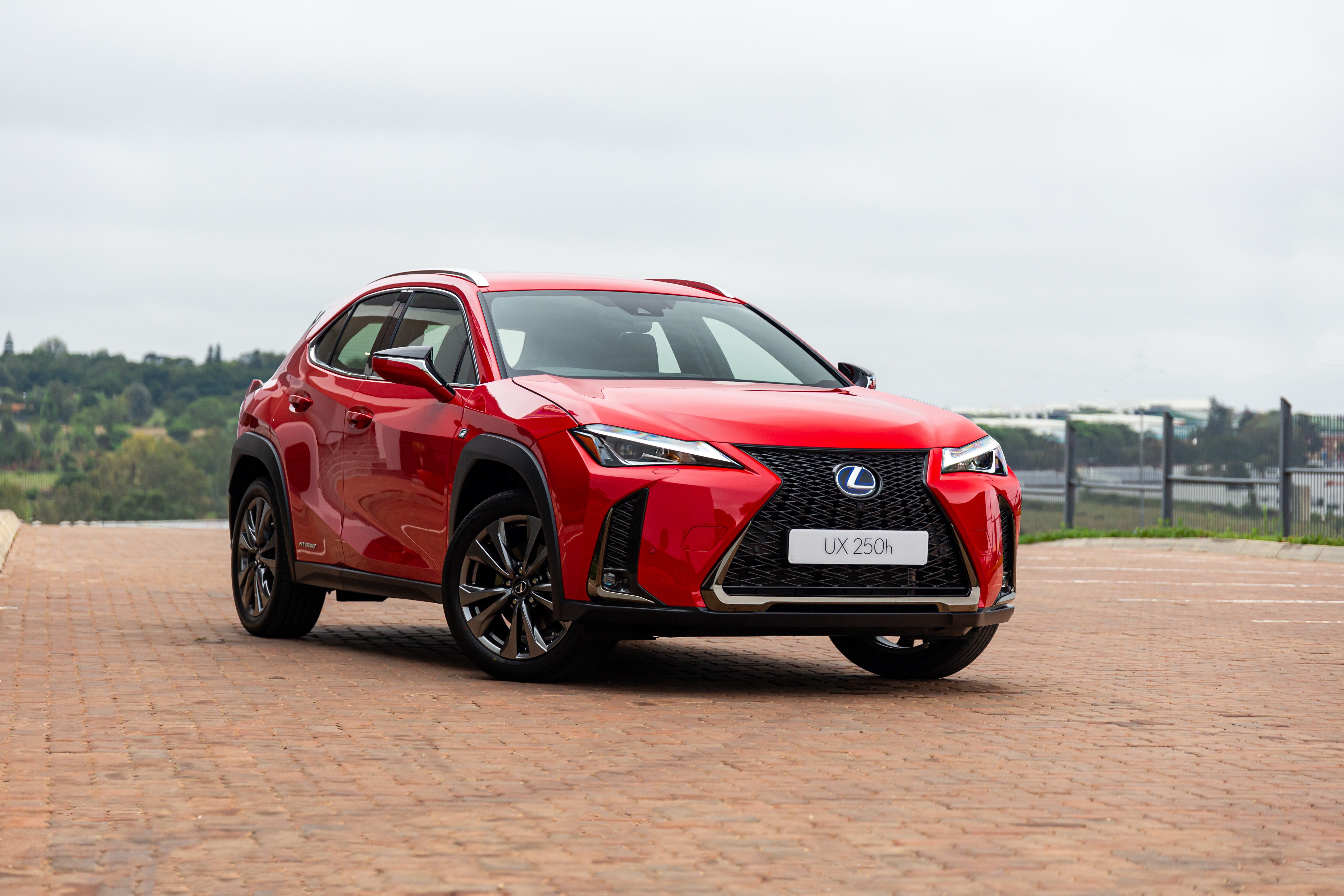 Red Lexus UX 250h F SPORT parked outdoors HD Wallpaper