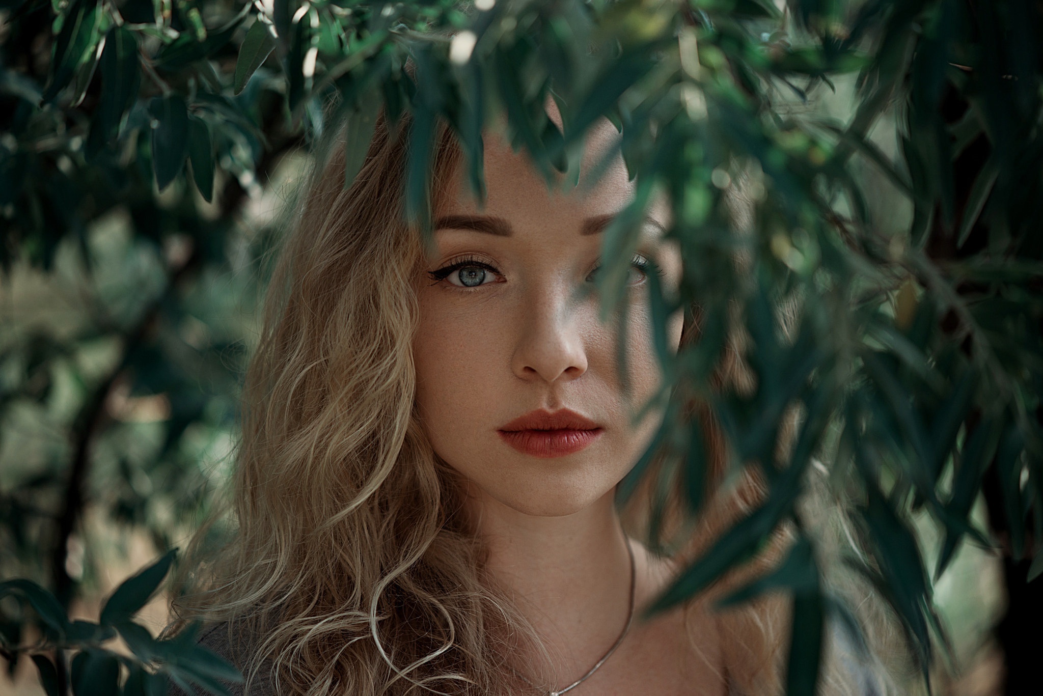 Woman with blonde curly hair and blue eyes behind leaves HD Wallpaper