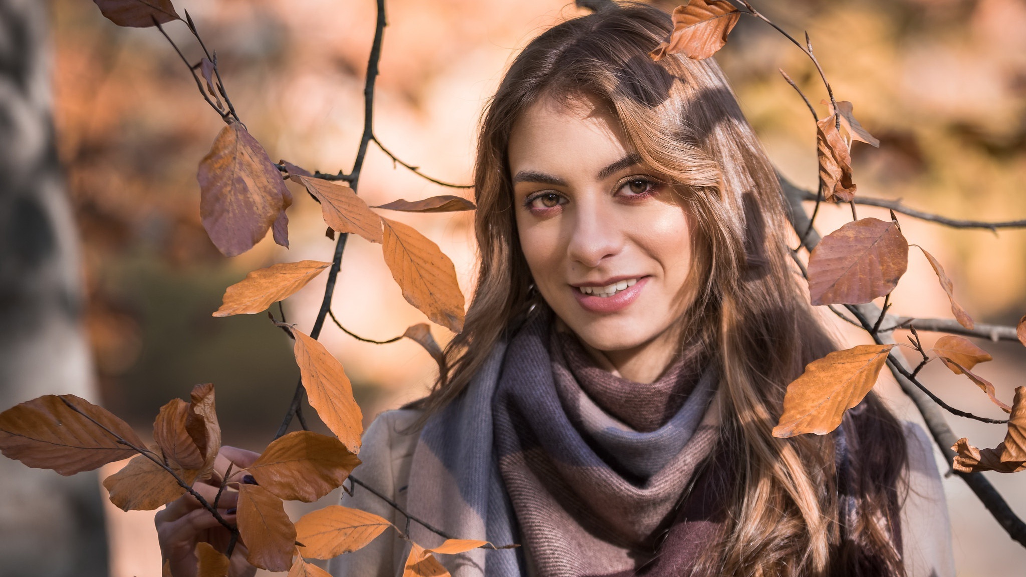 Brunette woman in autumn leaves HD Wallpaper