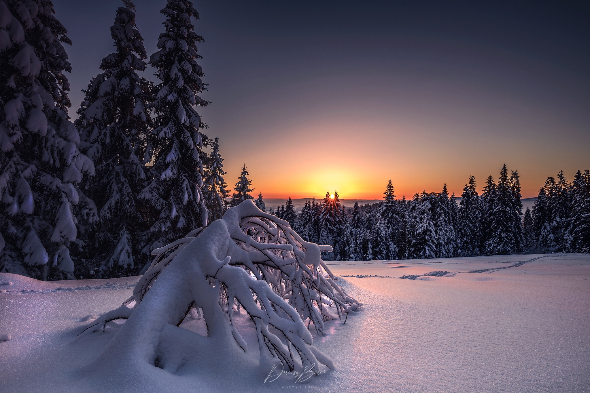 Winter Sunset Over Snowy Forest HD Wallpaper