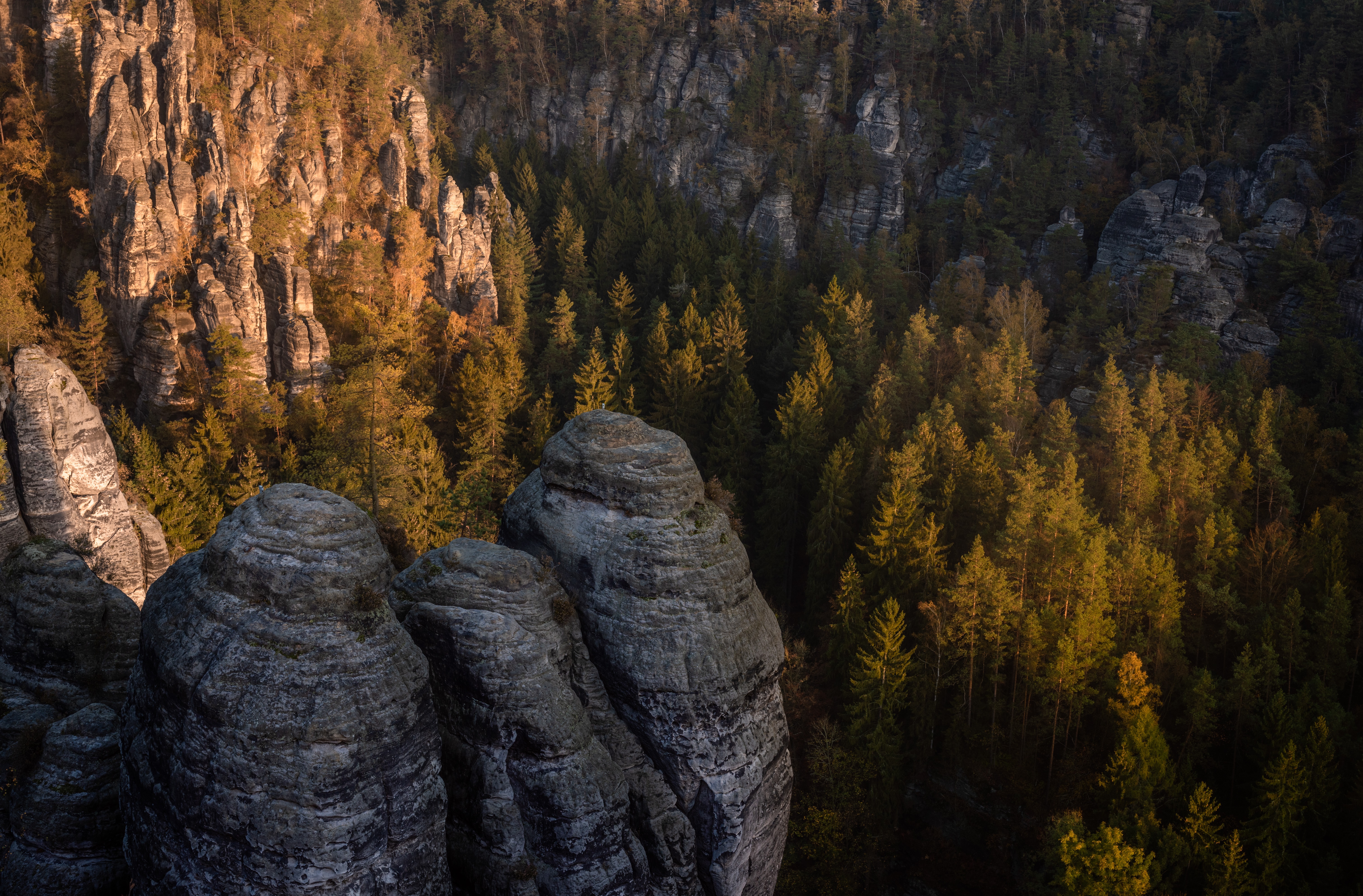 Autumn forest and rock formations in Saxon Switzerland, Germany HD Wallpaper