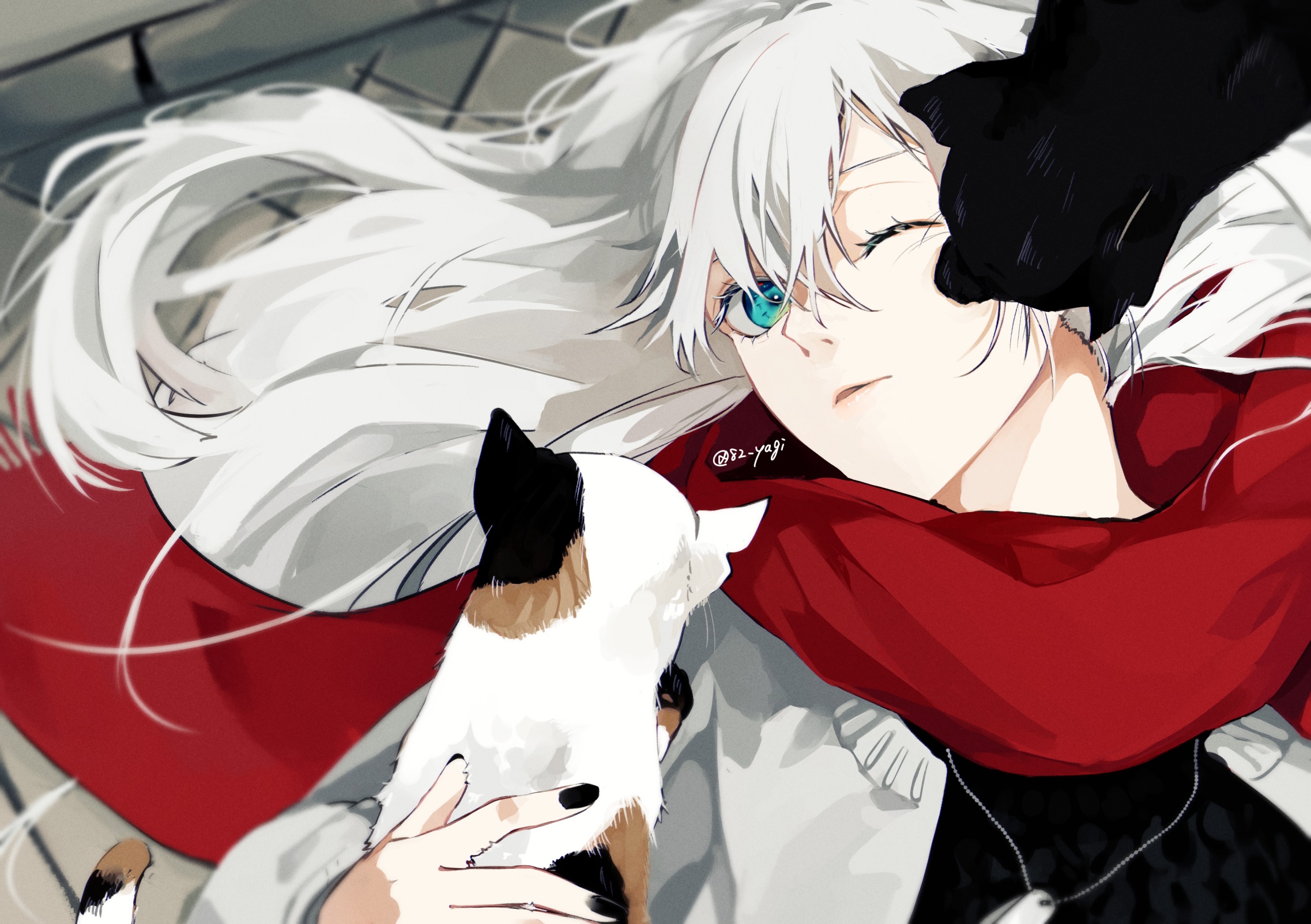 Girl with white hair and blue eyes holding a cat HD Wallpaper