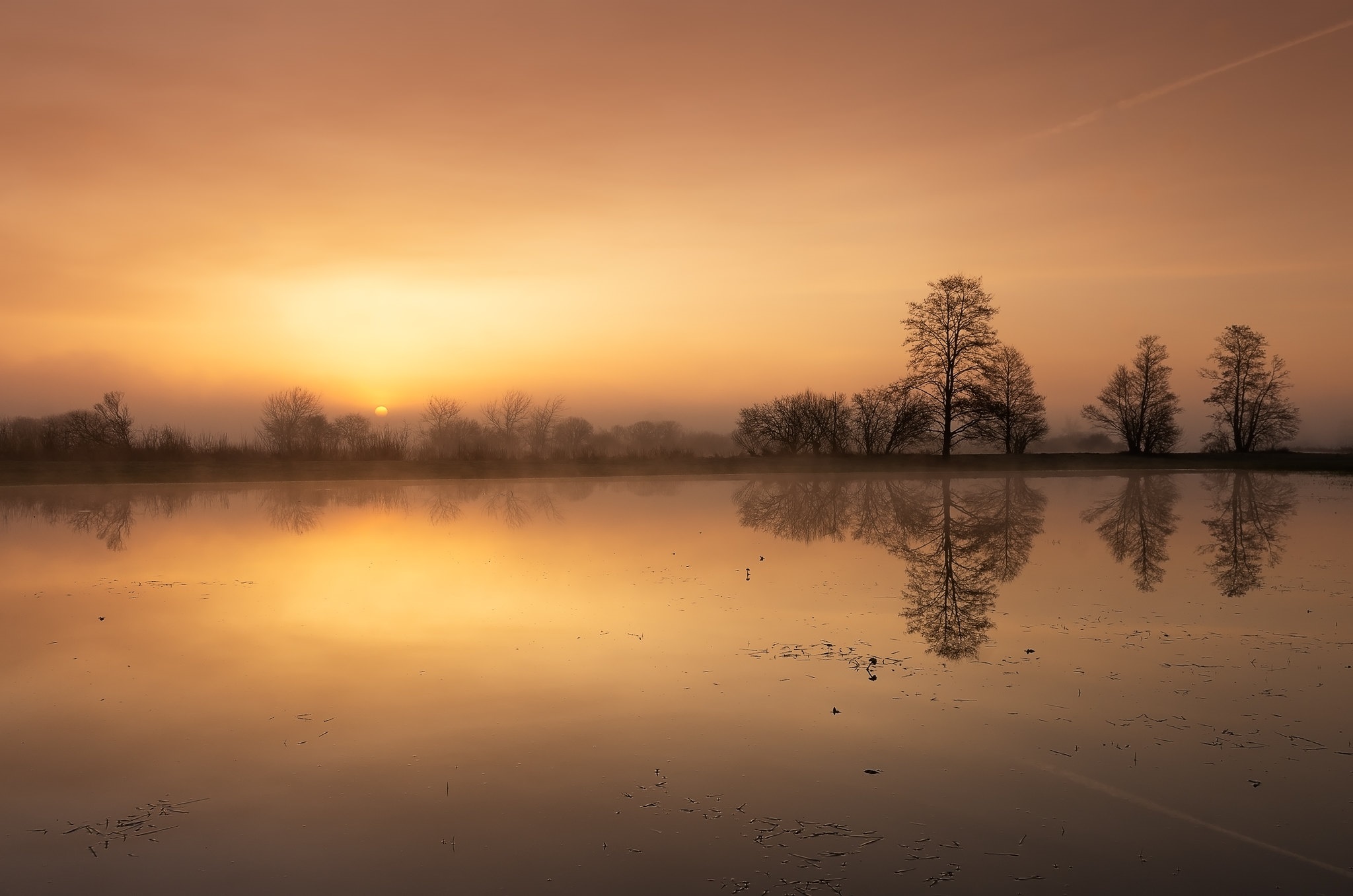 Misty sunrise reflection on Narew river in Poland HD Wallpaper