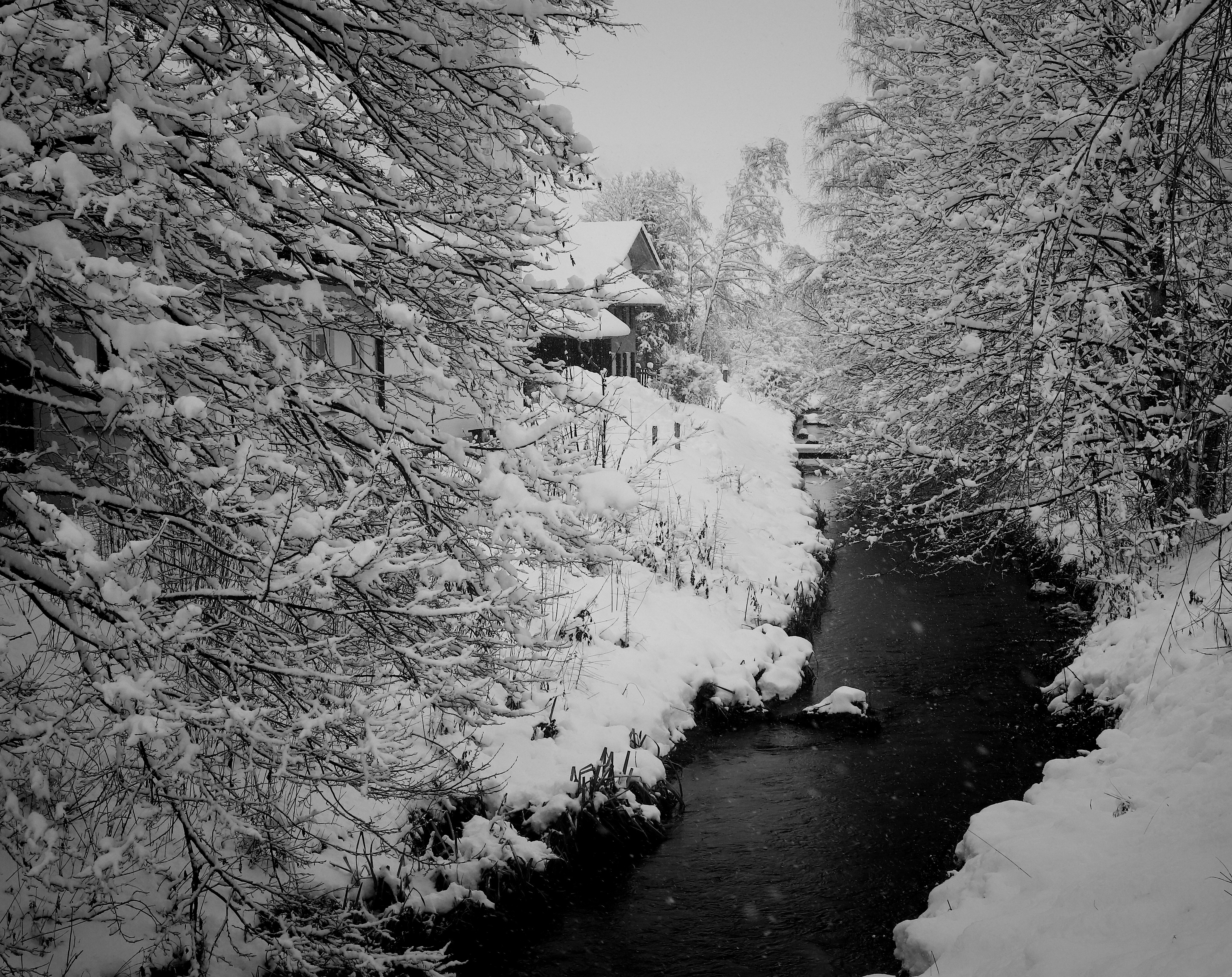 Winter scene with river and houses in Schwabbruck, Germany HD Wallpaper