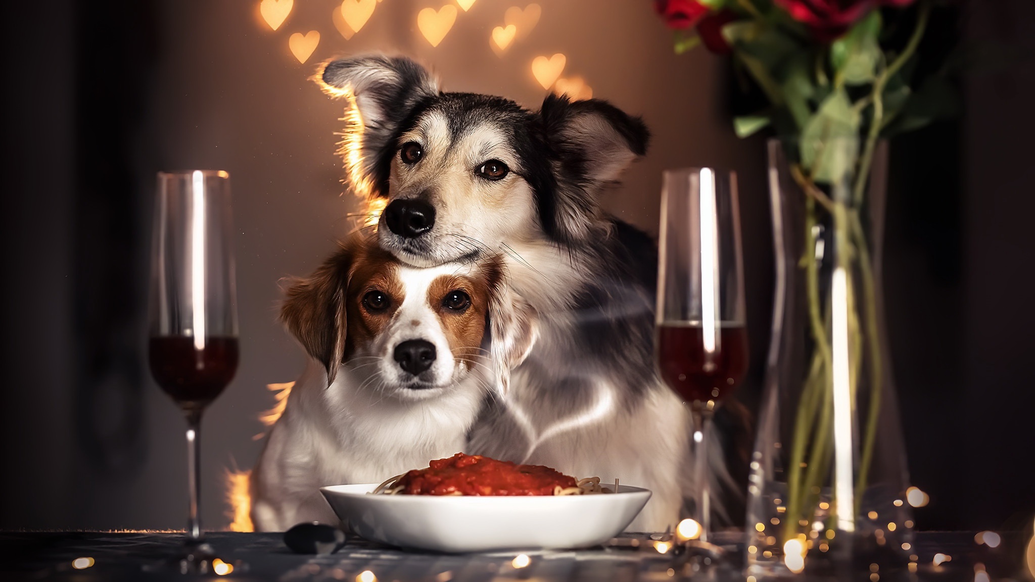 Two dogs on a romantic dinner date HD Wallpaper