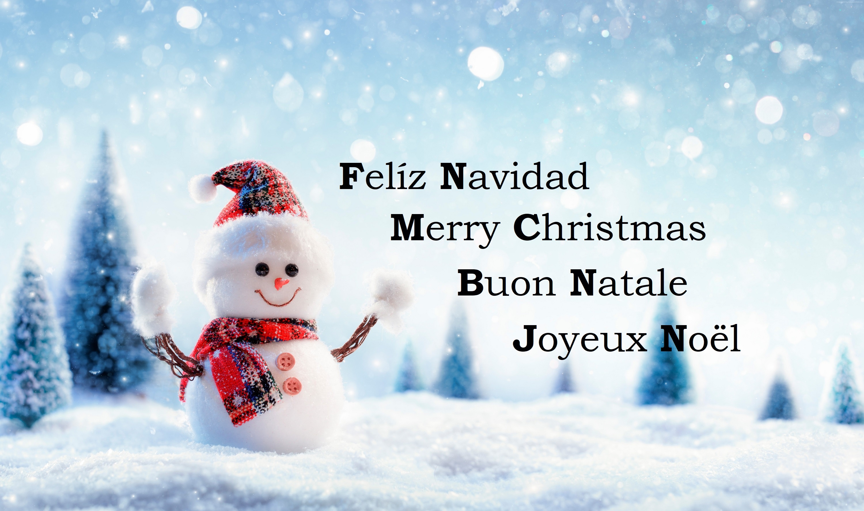 Merry Christmas Snowman in Snowy Forest HD Wallpaper