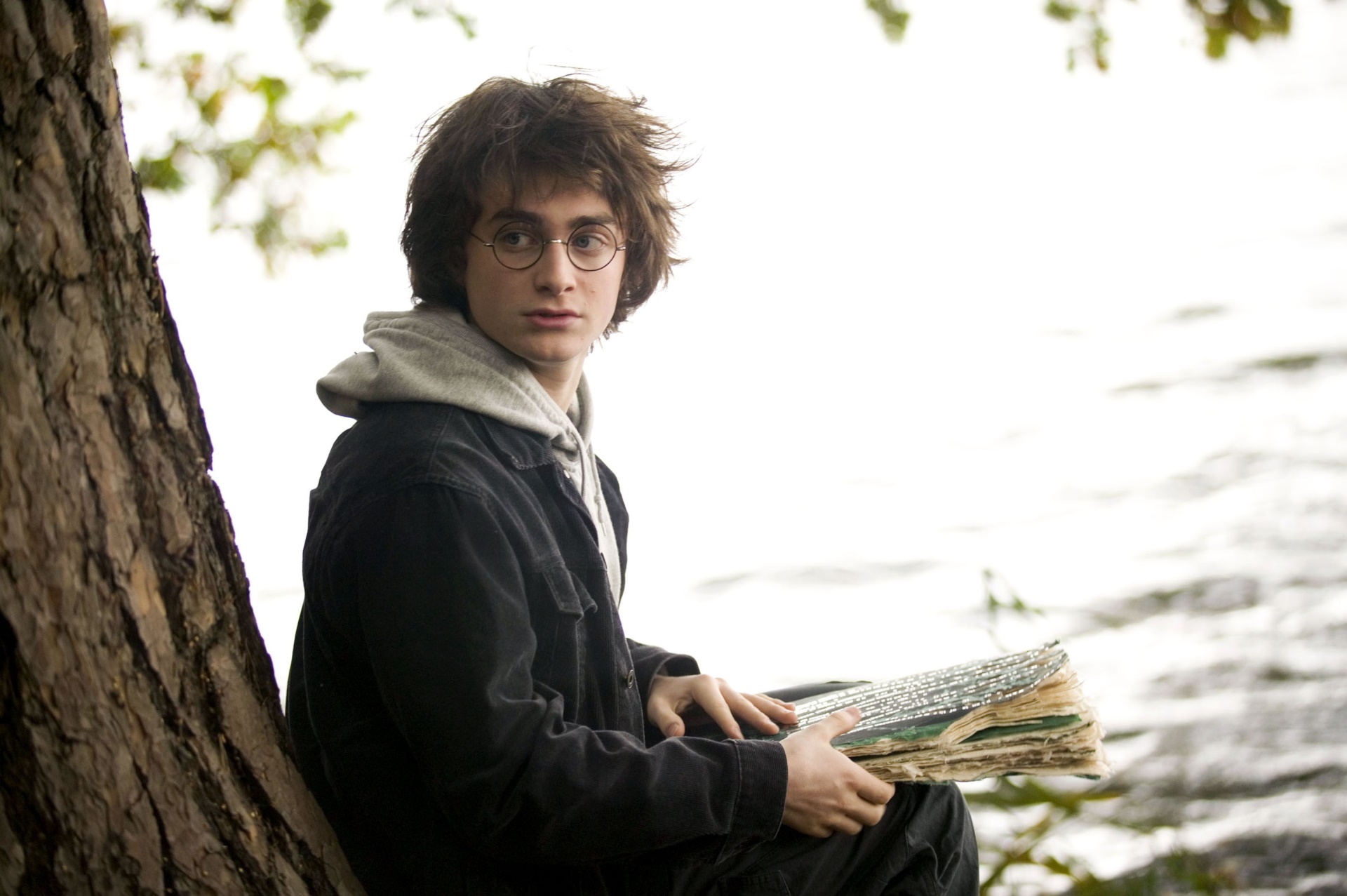 Harry Potter from Harry Potter reading a book HD Wallpaper