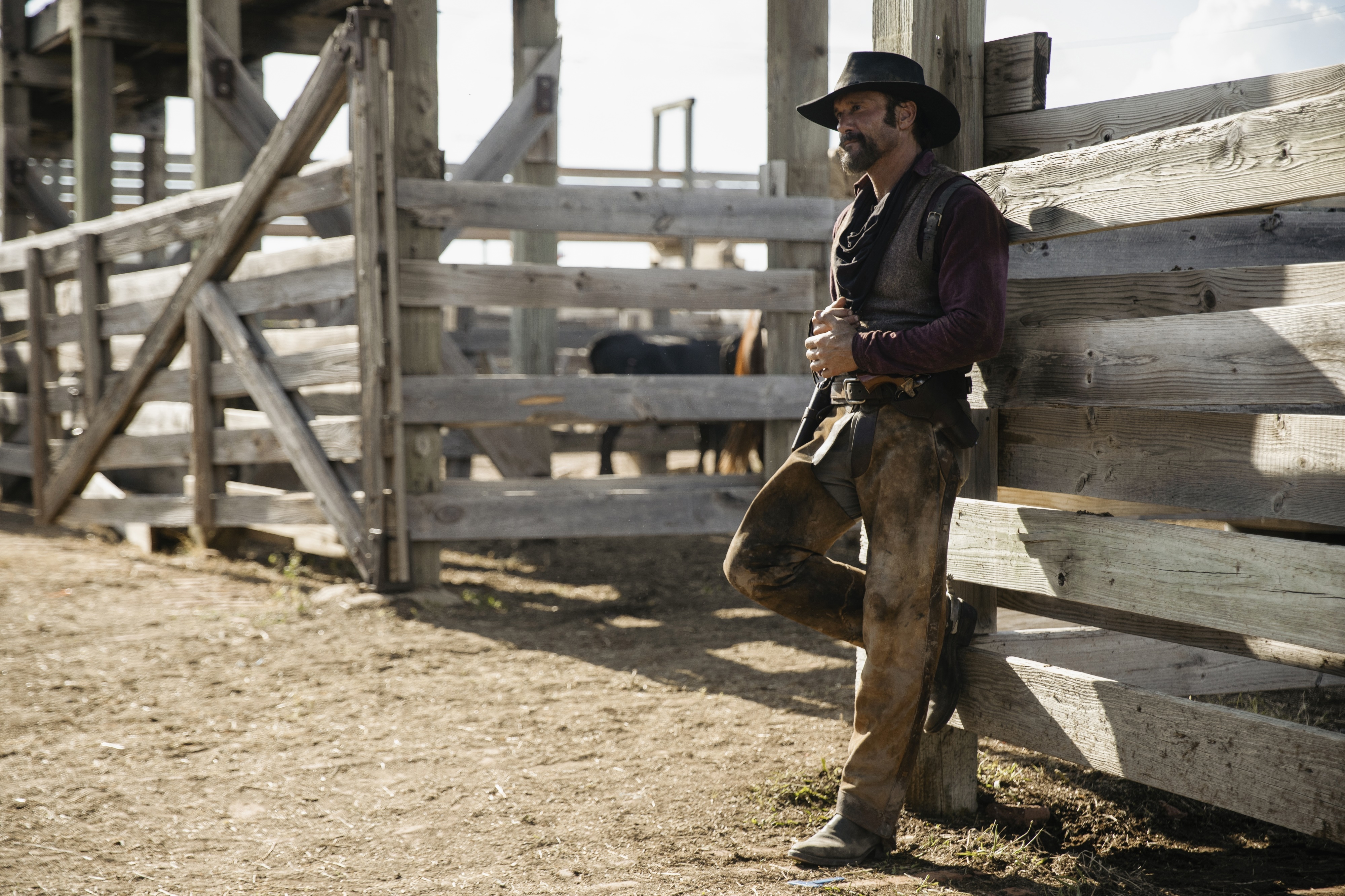 Tim McGraw in 1883 4K HD Wallpaper