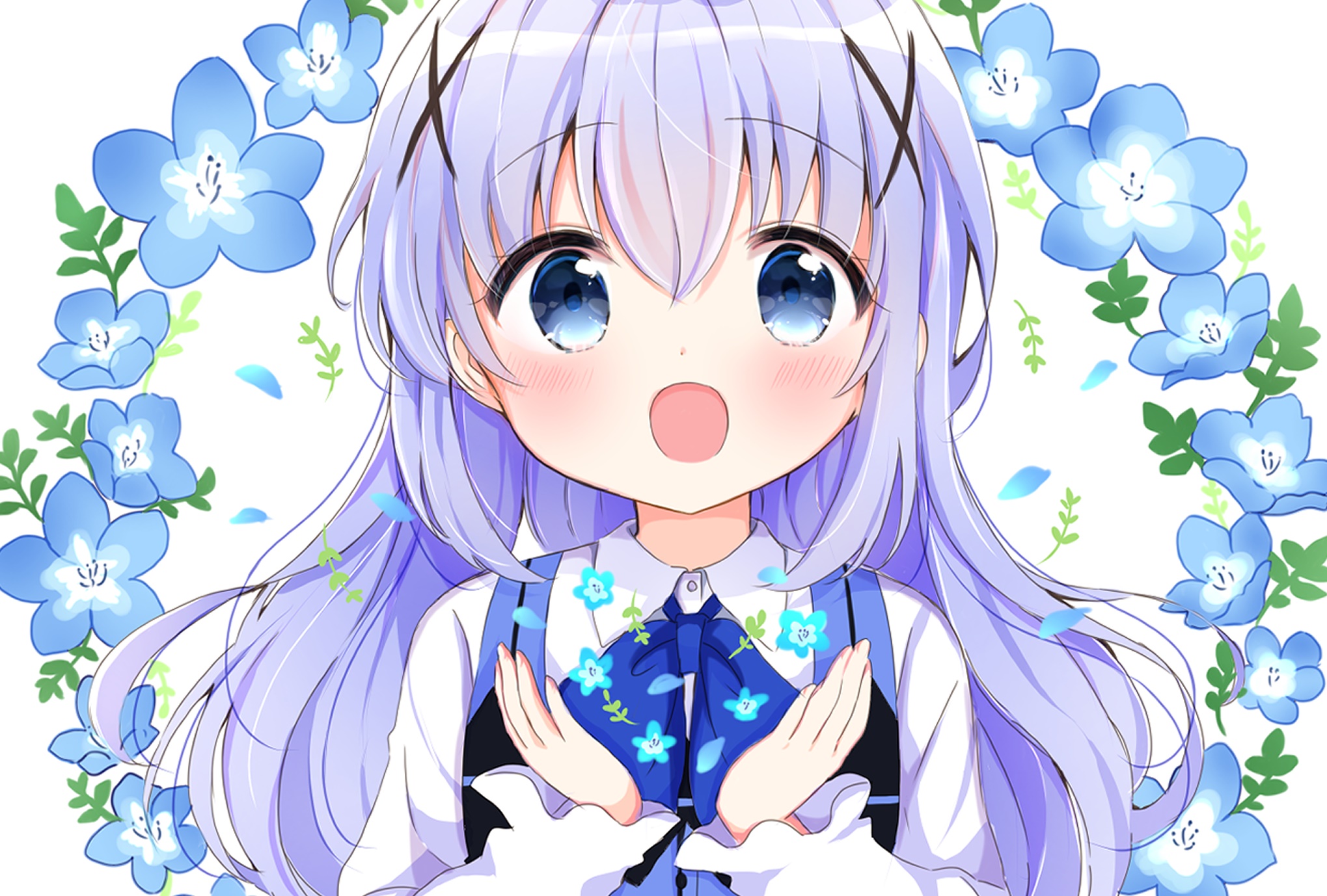 Chino Kafū from Is The Order A Rabbit? HD Wallpaper
