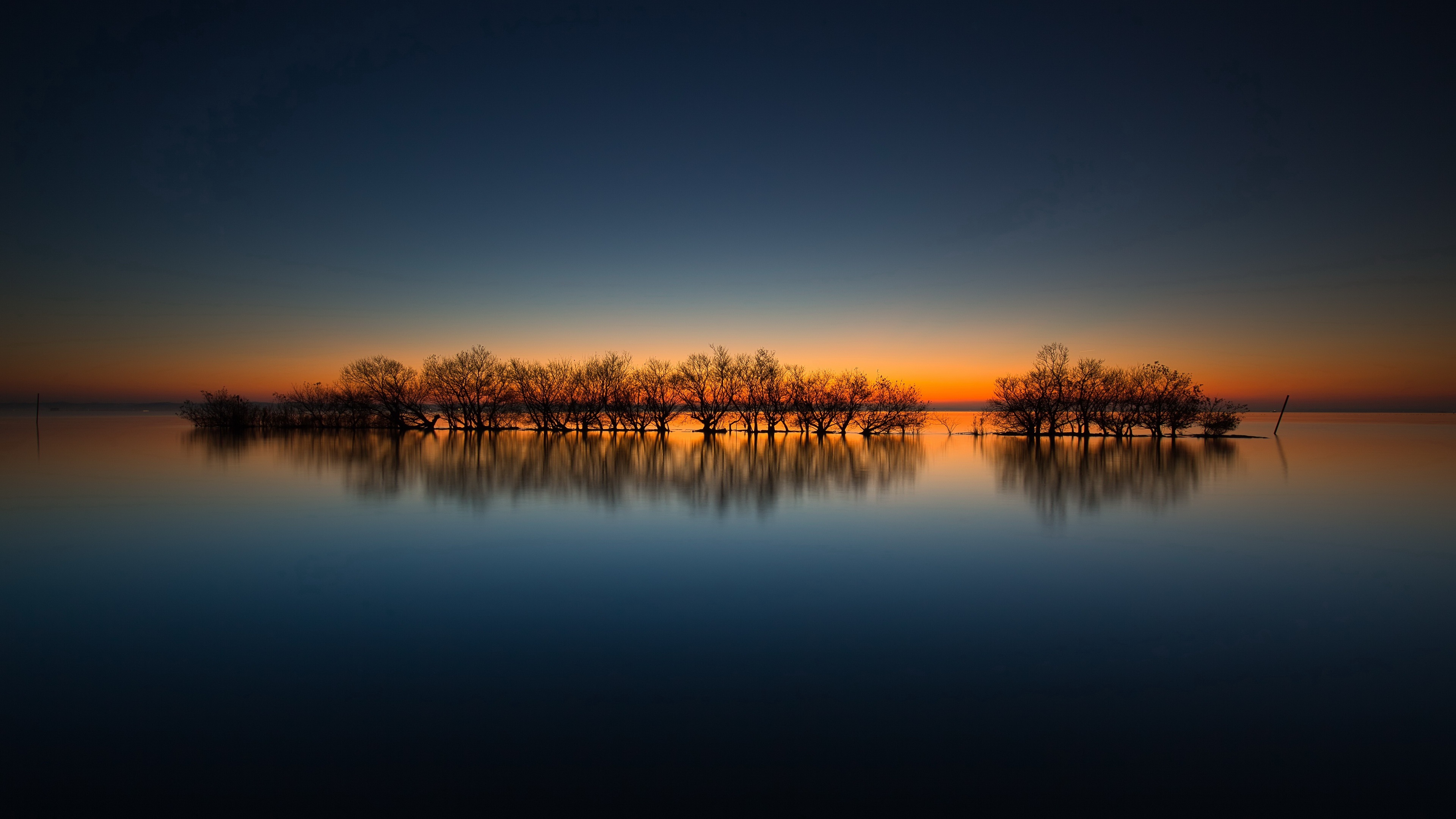 Trees reflected in water at sunset HD Wallpaper