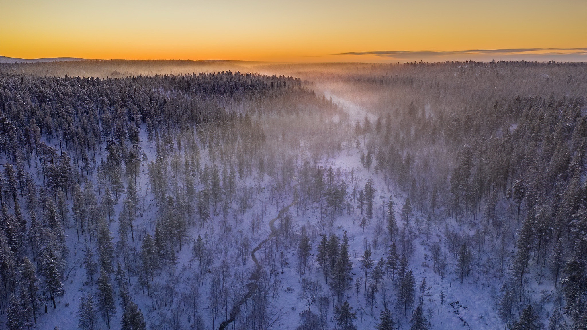 Winter forest with mist and sunset HD Wallpaper