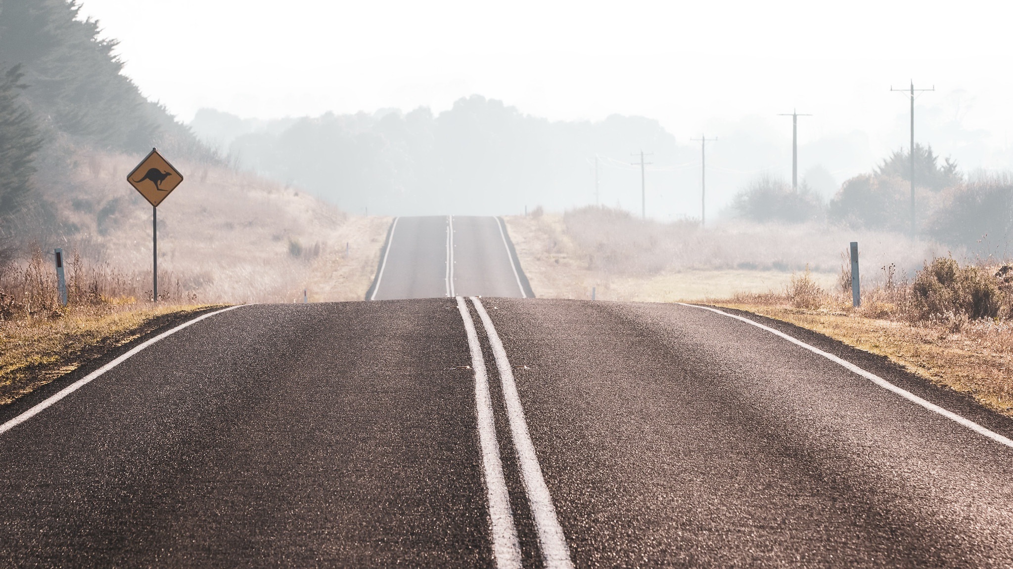 Kangaroo Crossing Sign on Australian Road HD Wallpaper