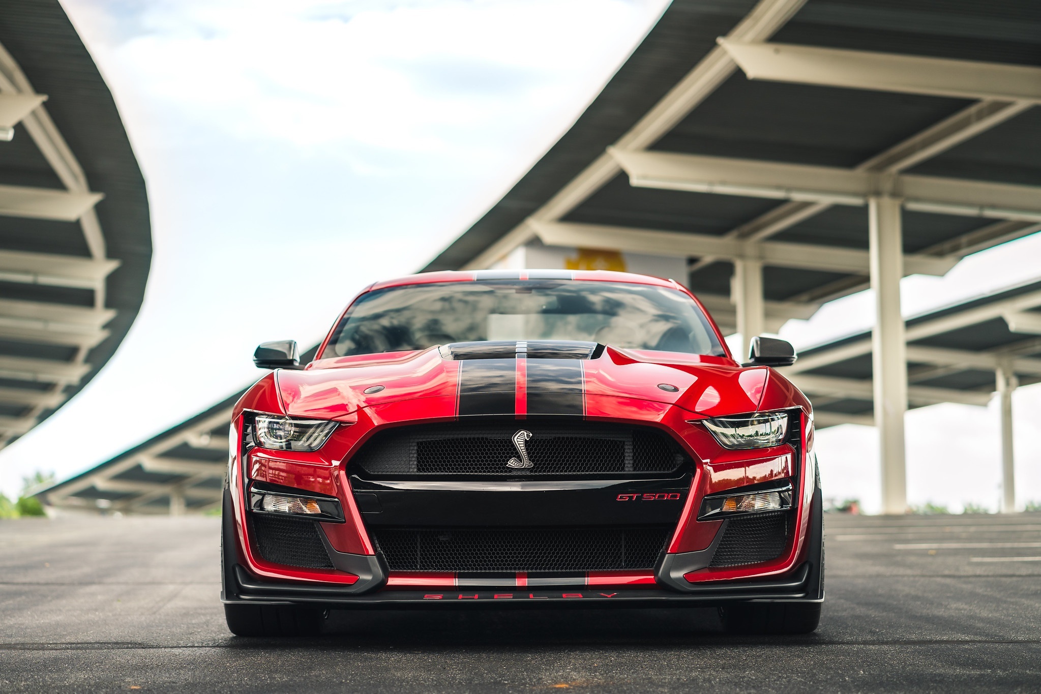 Red Ford Mustang Shelby GT500 parked under a canopy HD Wallpaper
