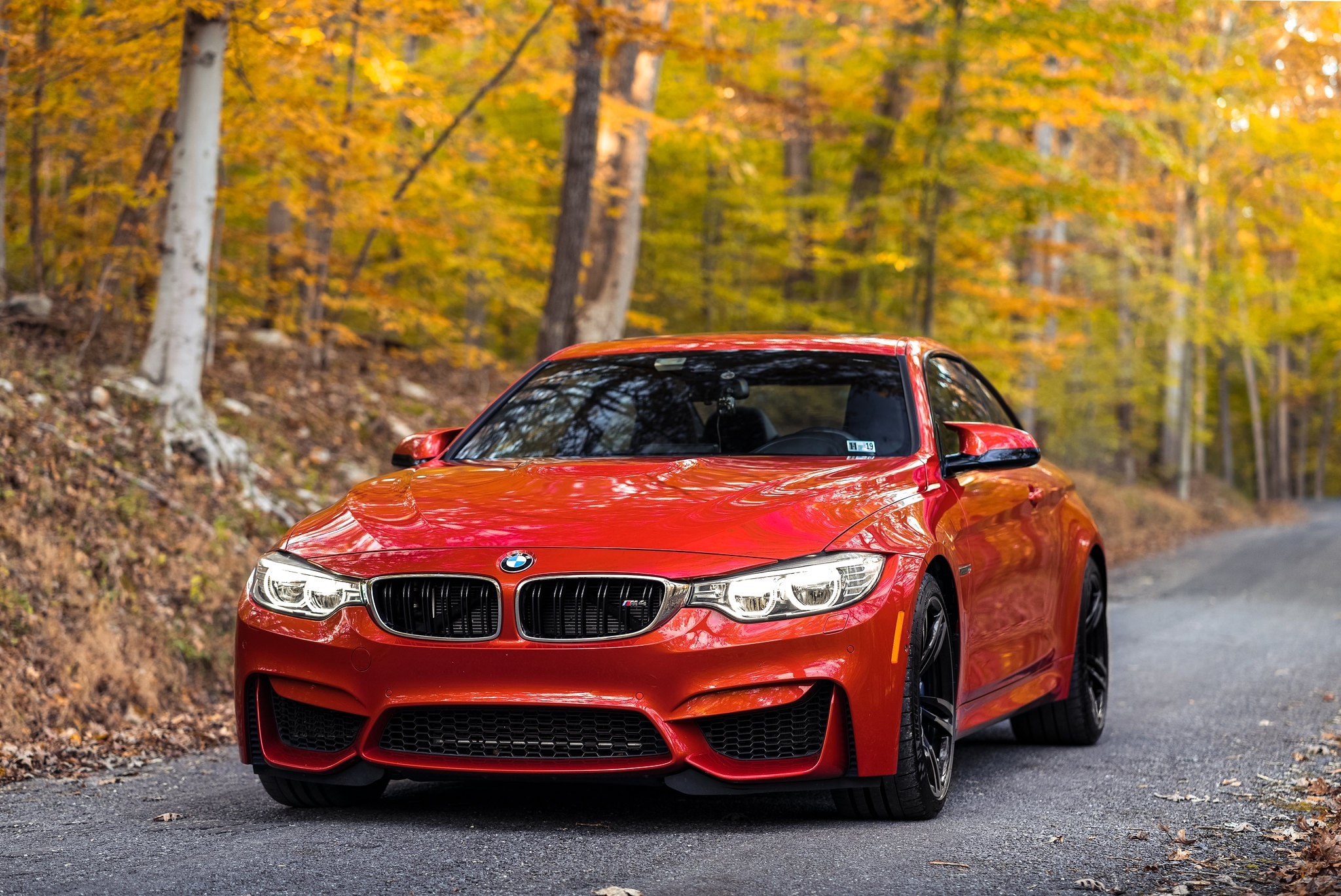 Red BMW M4 Coupe on a forest road in autumn HD Wallpaper