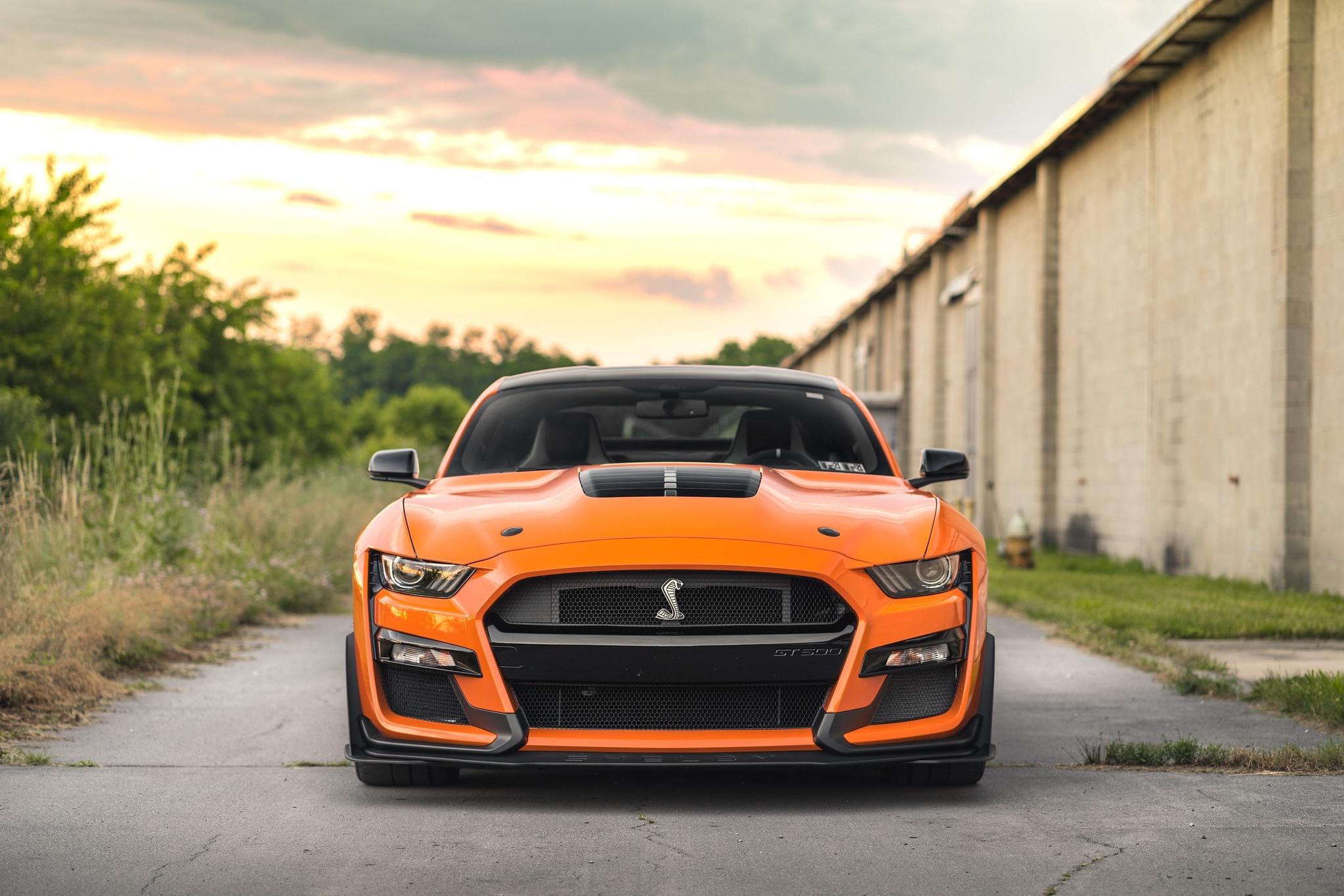 Orange Ford Mustang Shelby GT500 parked on asphalt HD Wallpaper
