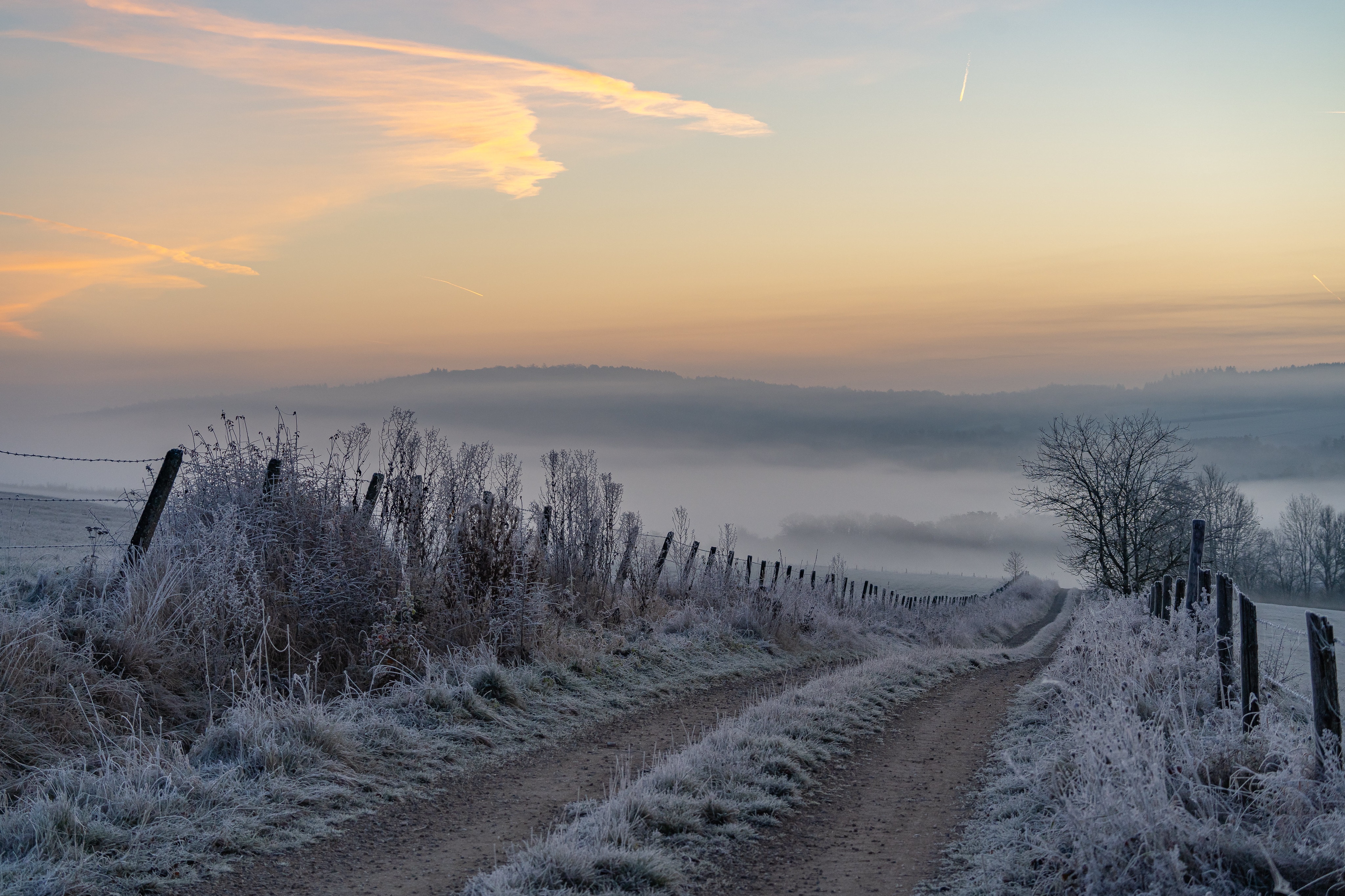Morning frost on a rural path HD Wallpaper