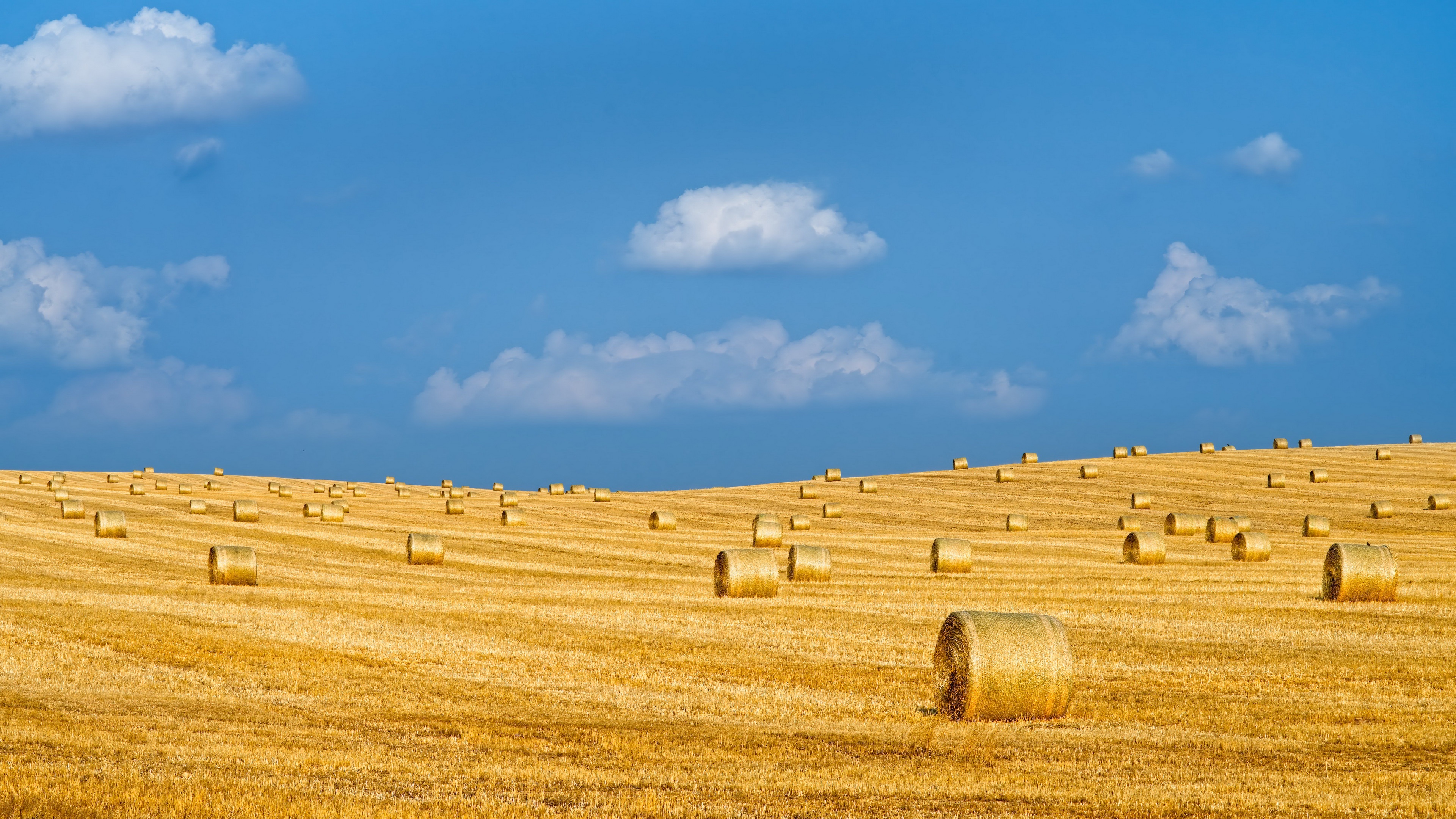 Haystacks in a field under a blue sky HD Wallpaper