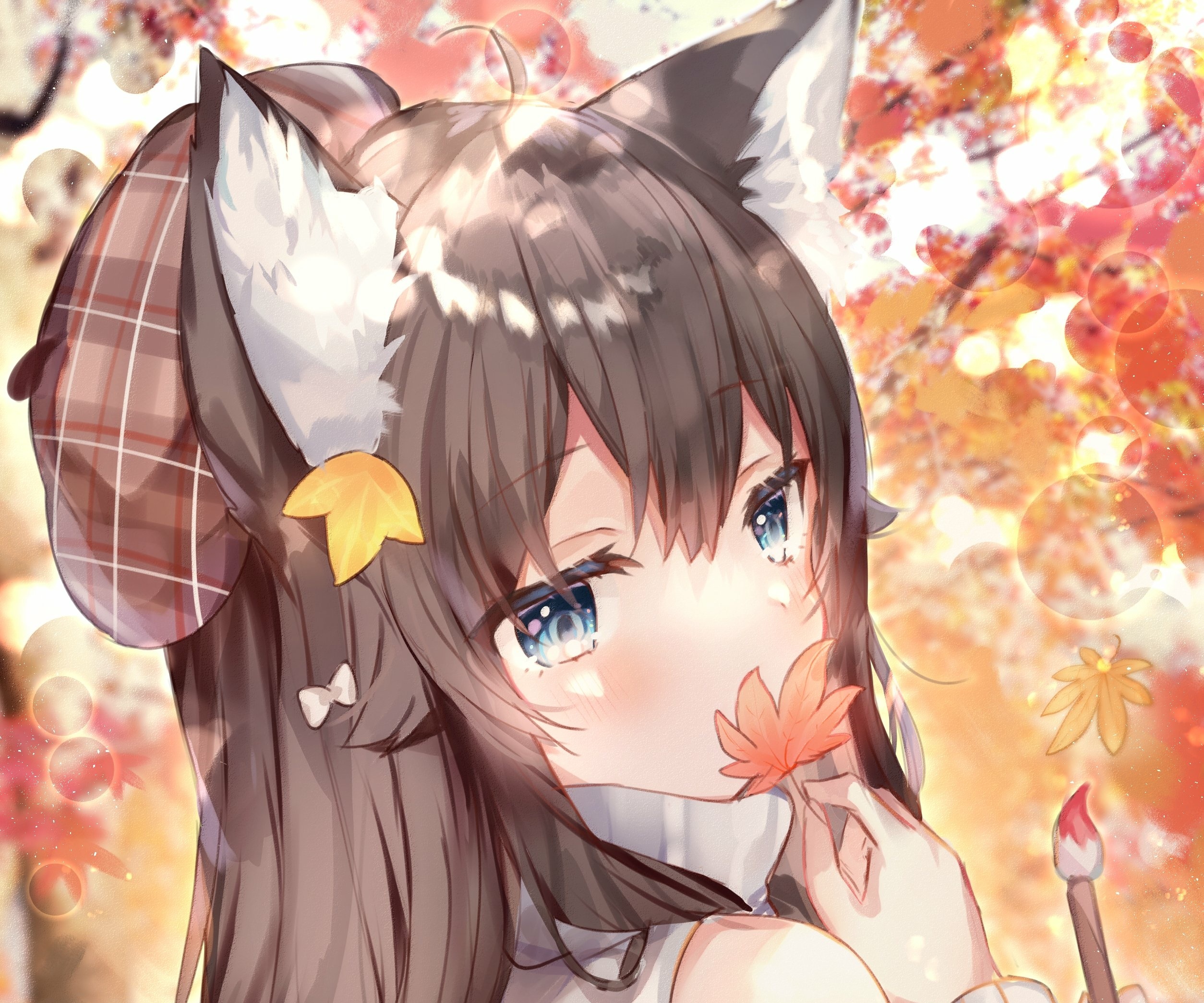 Anime Girl with Cat Ears and Autumn Leaves HD Wallpaper