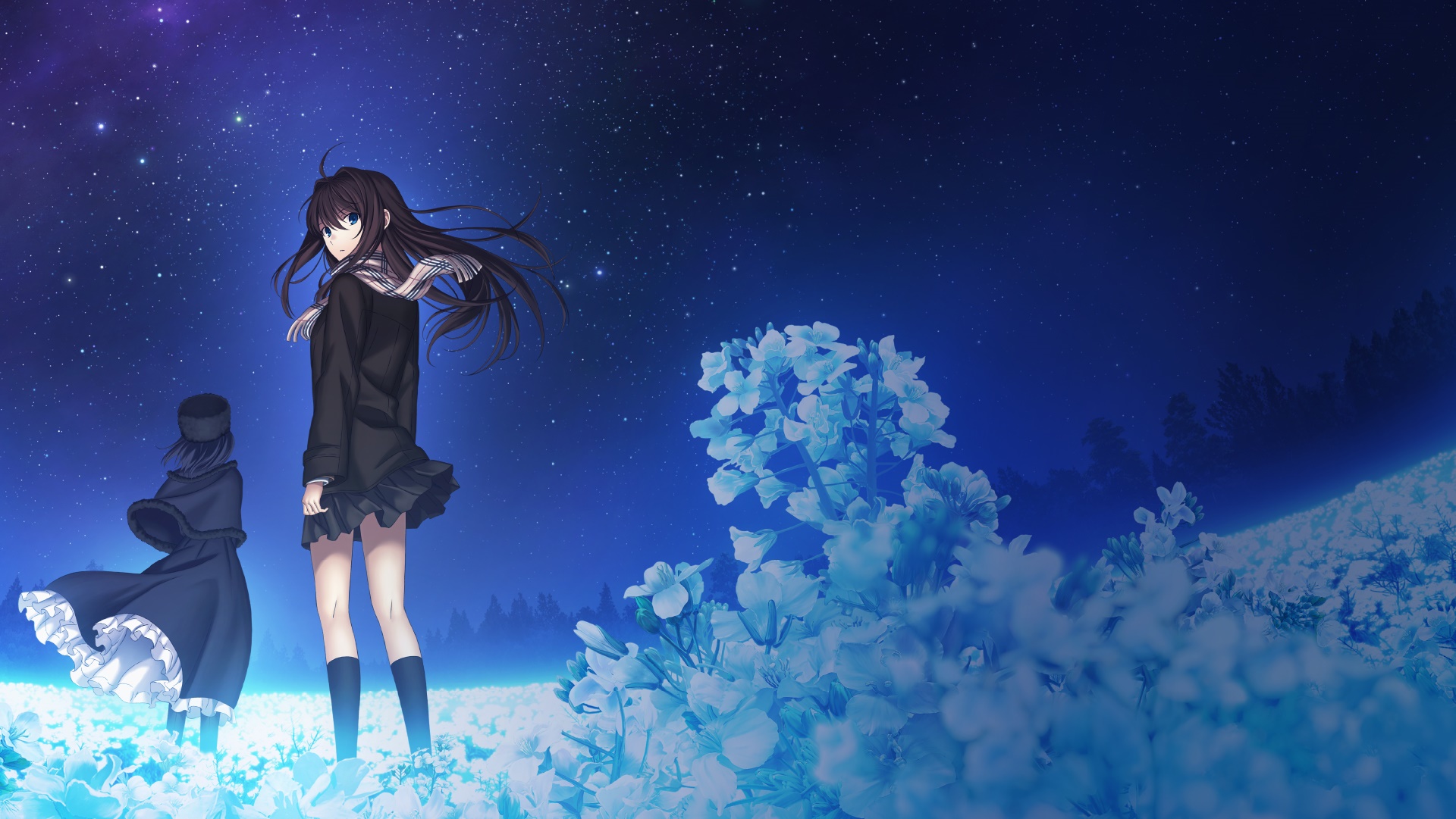 Aoko Aozaki and Alice Kuonji under the stars HD Wallpaper