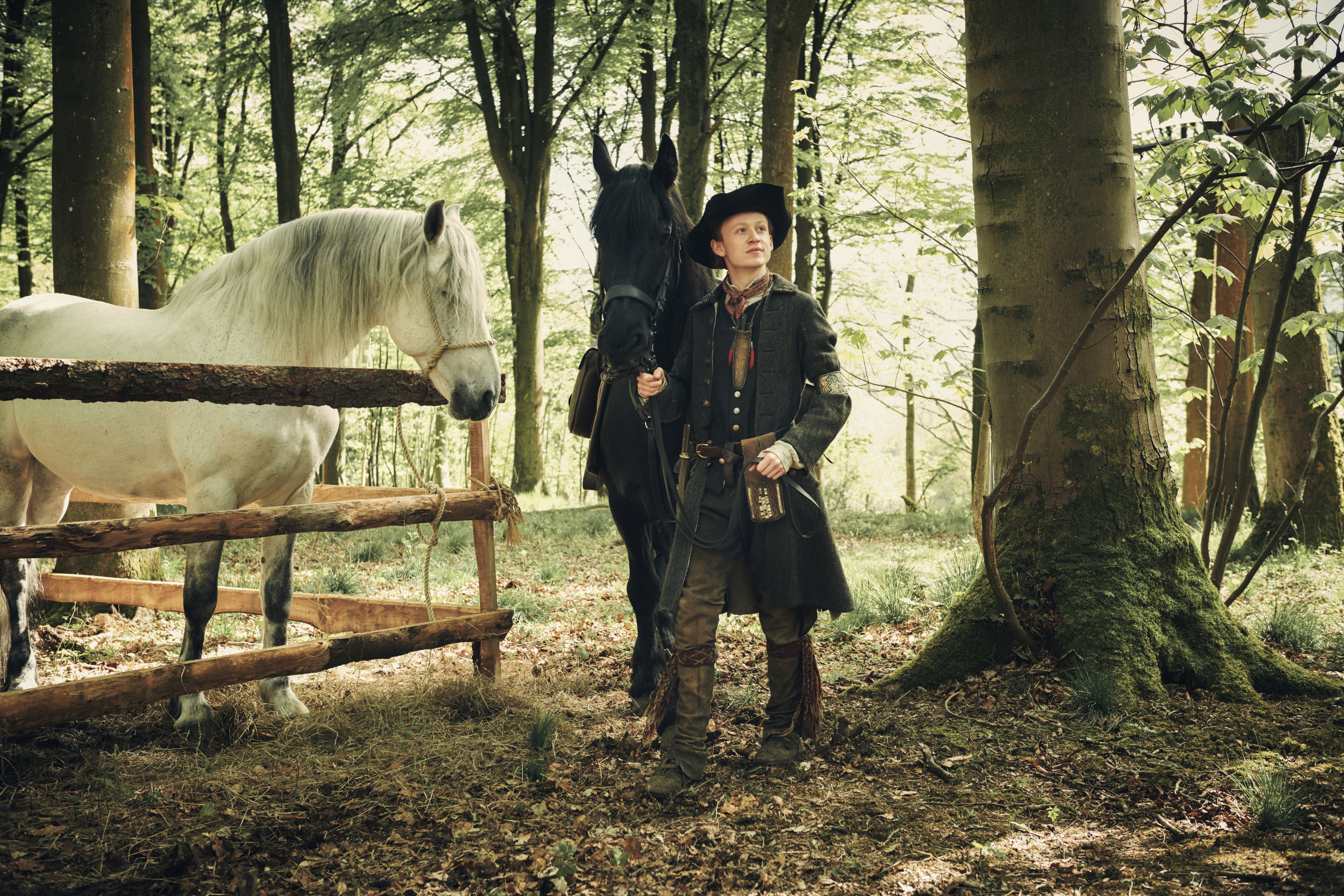 Young person with horses in a forest HD Wallpaper