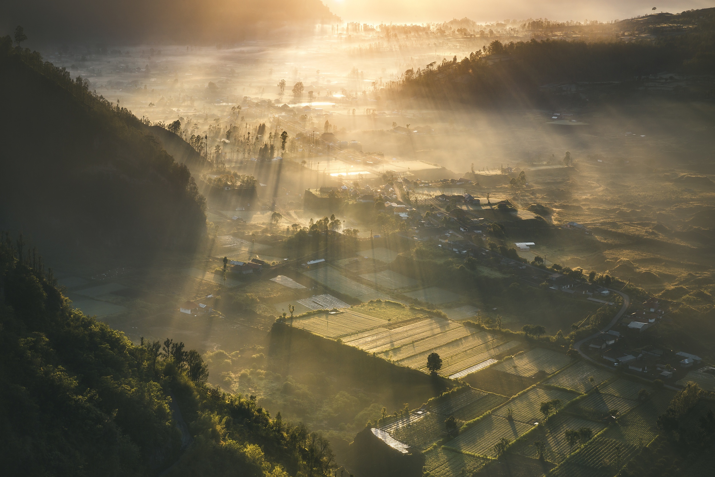 Sunbeams over a misty valley with terraced fields HD Wallpaper