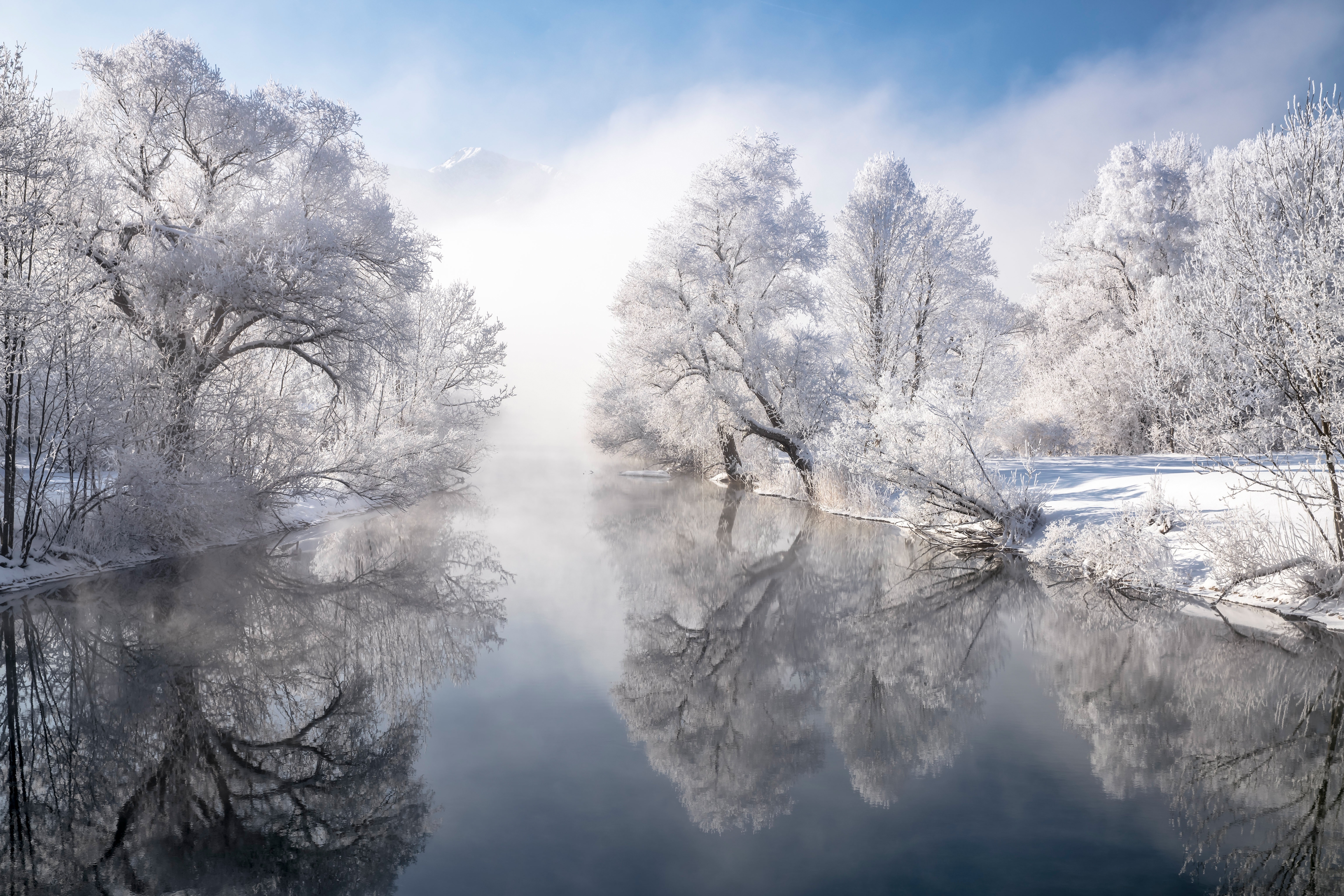 River in Germany with Frosty Trees and Reflection 4K HD Wallpaper