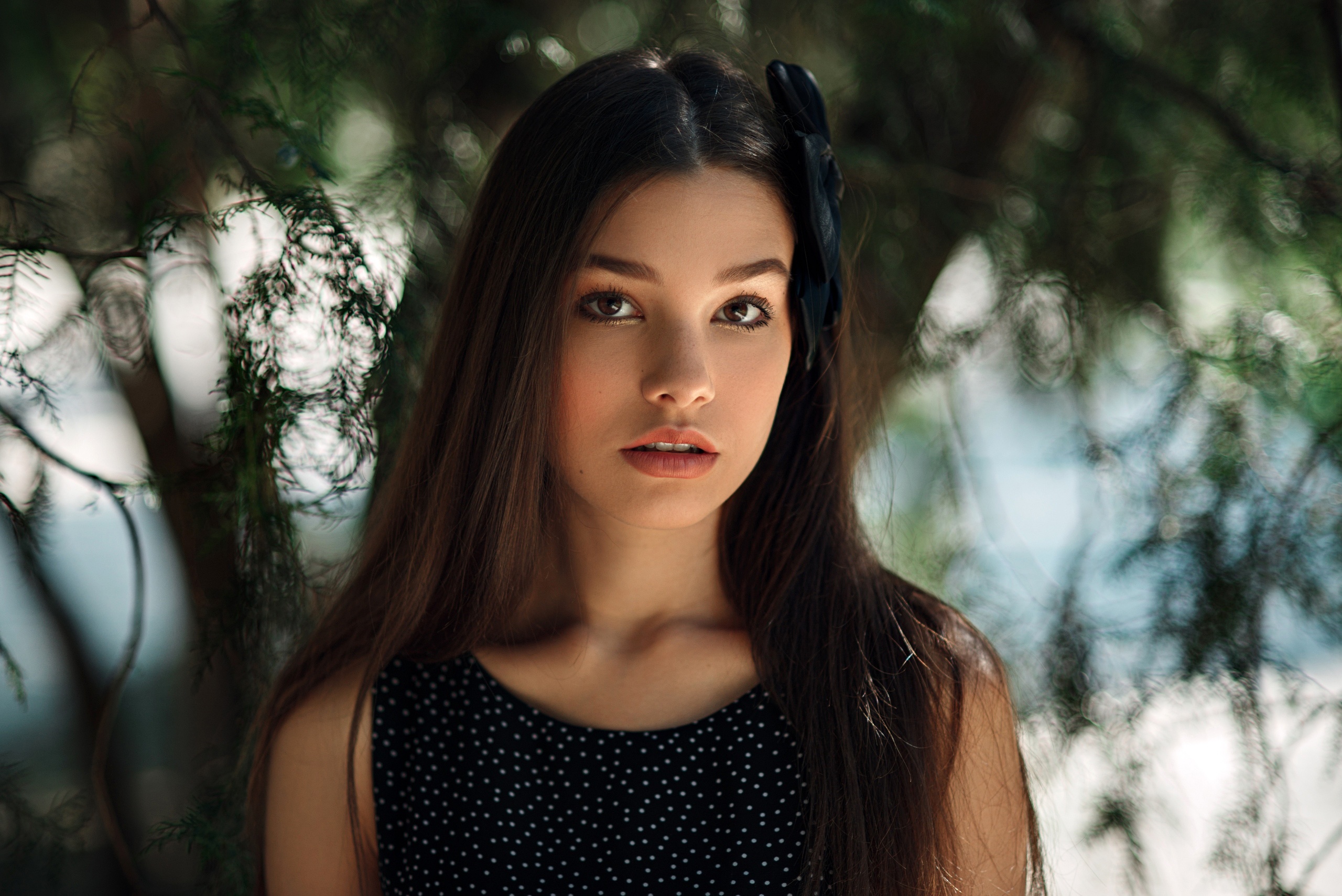 Brunette girl with a black bow in her hair HD Wallpaper